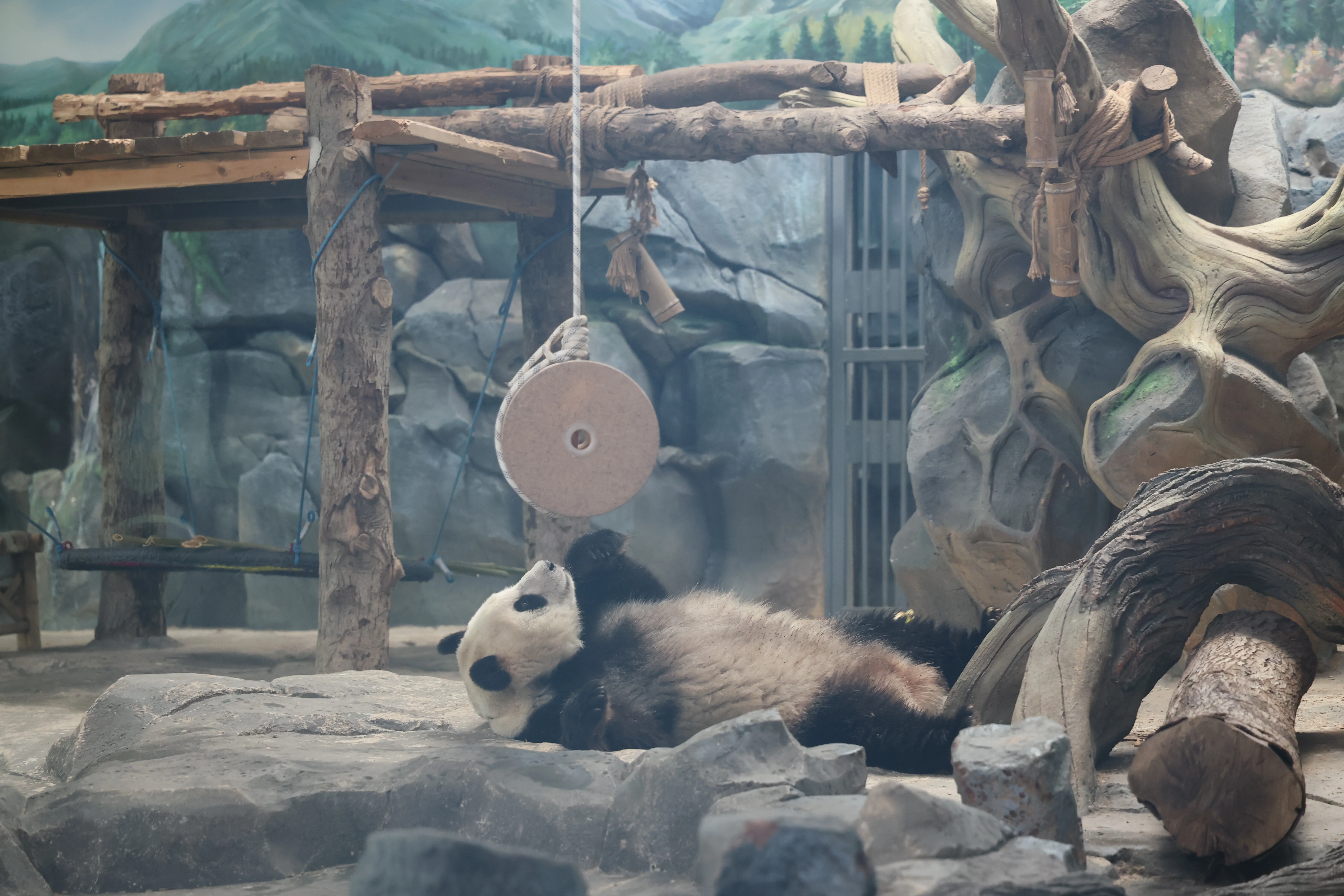 Wuhan Zoo