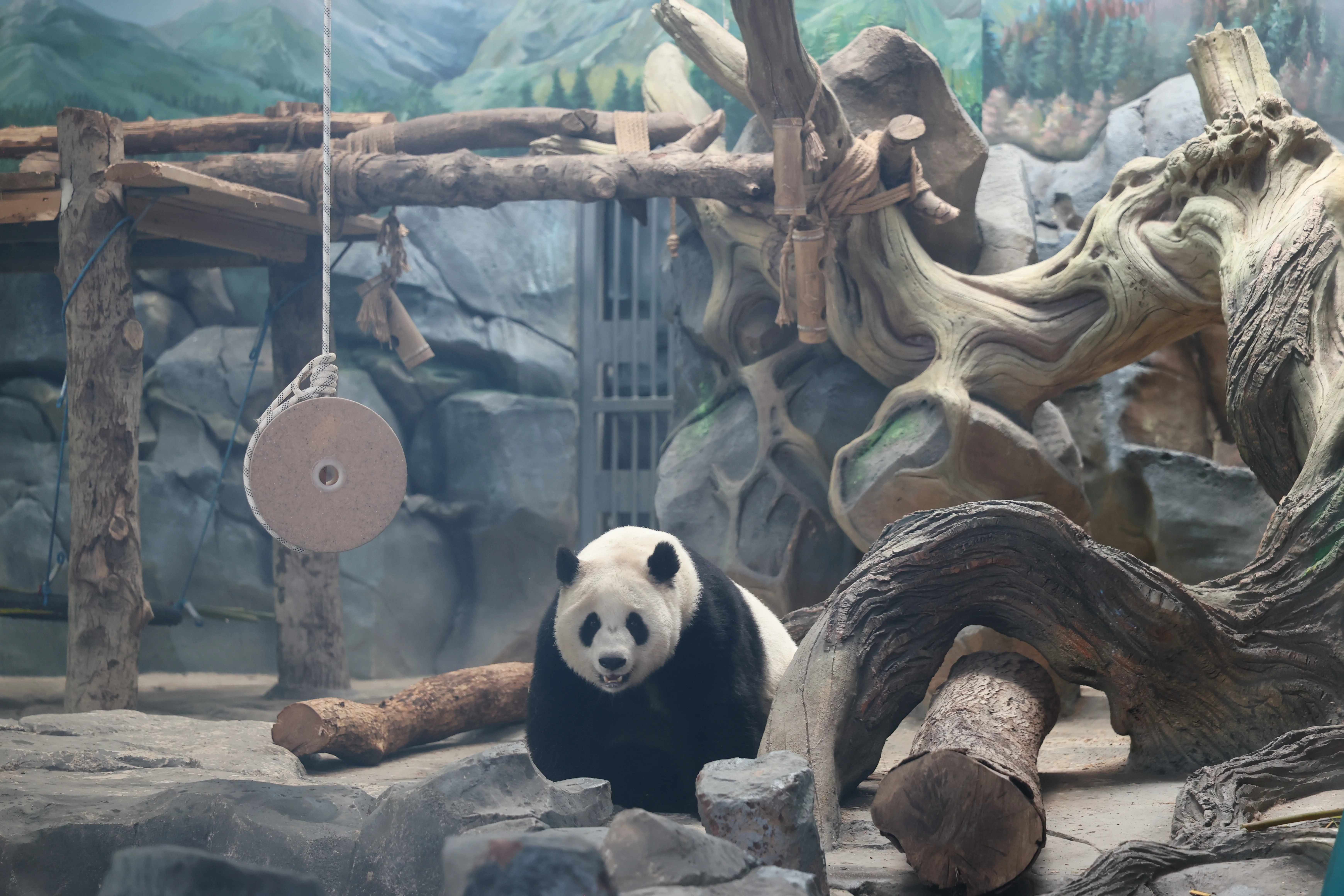 Wuhan Zoo