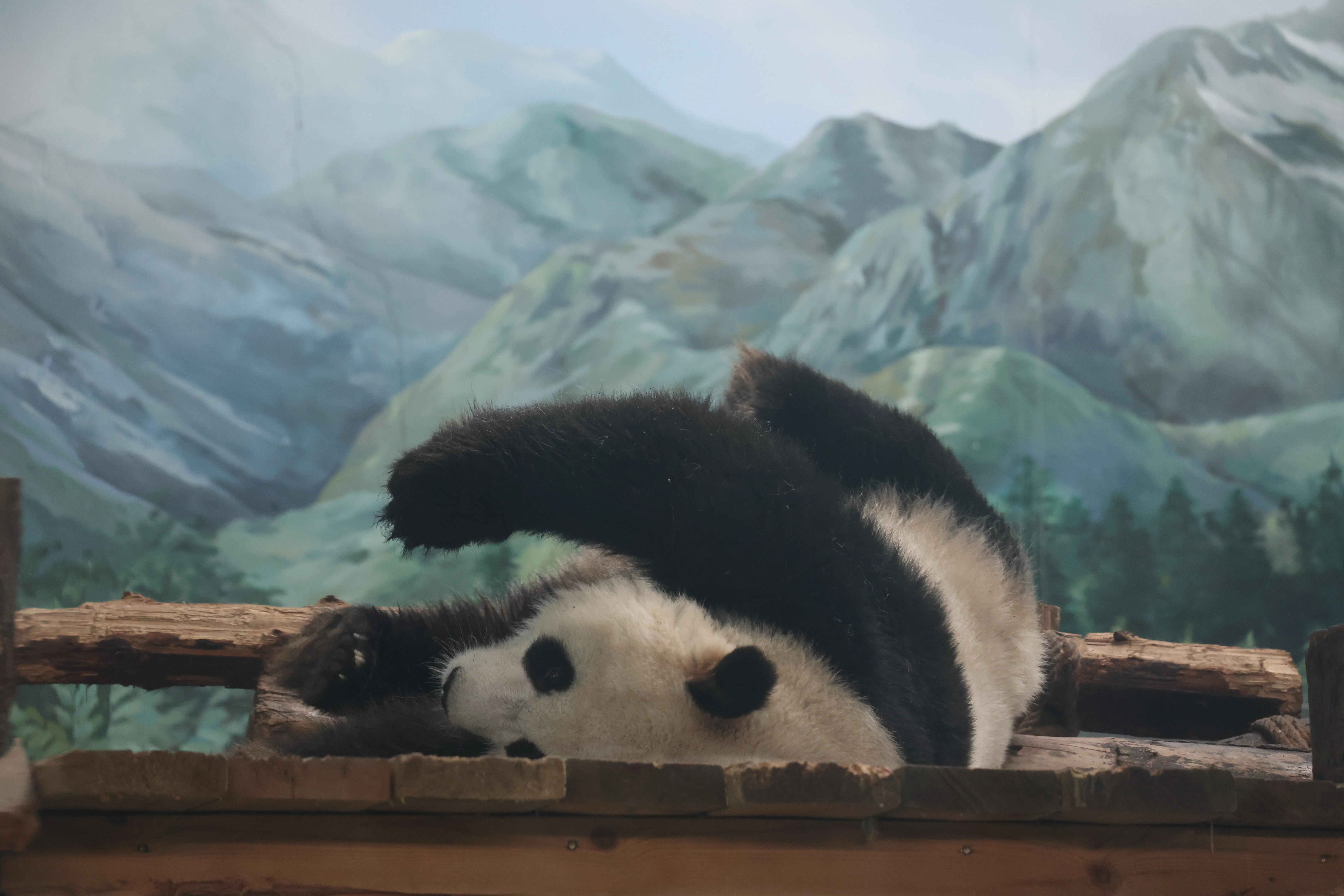 Wuhan Zoo
