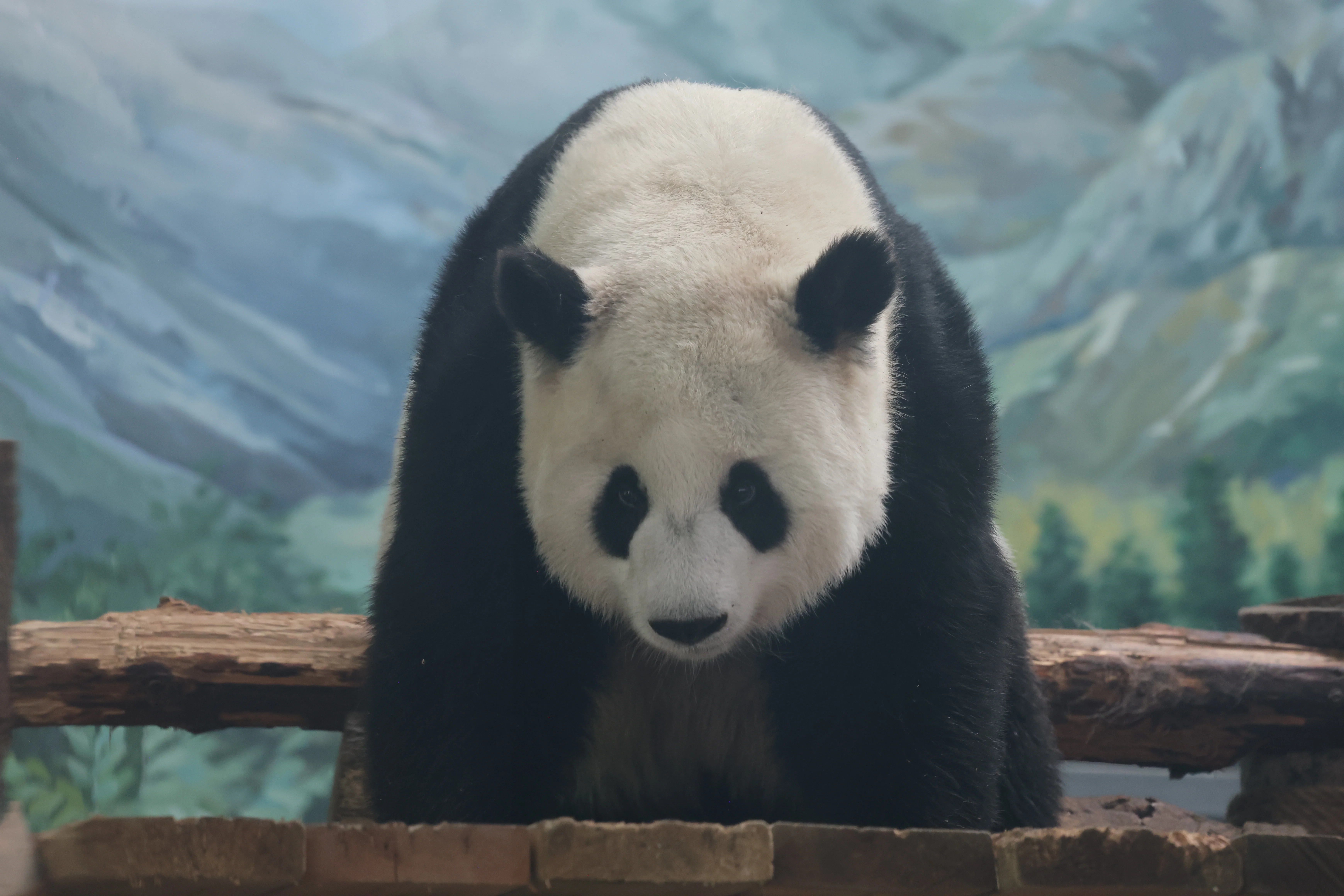 Wuhan Zoo
