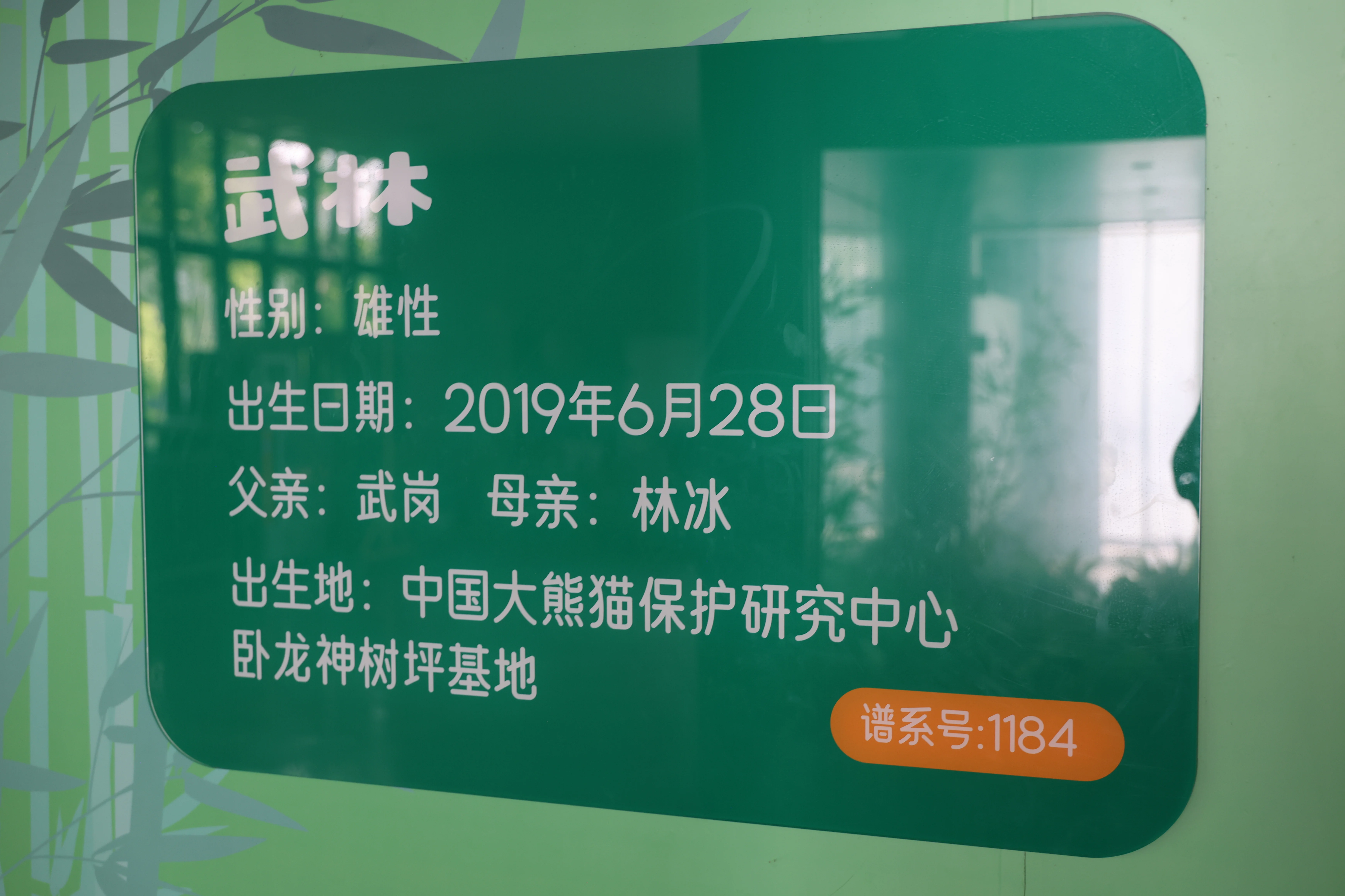 Wuhan Zoo