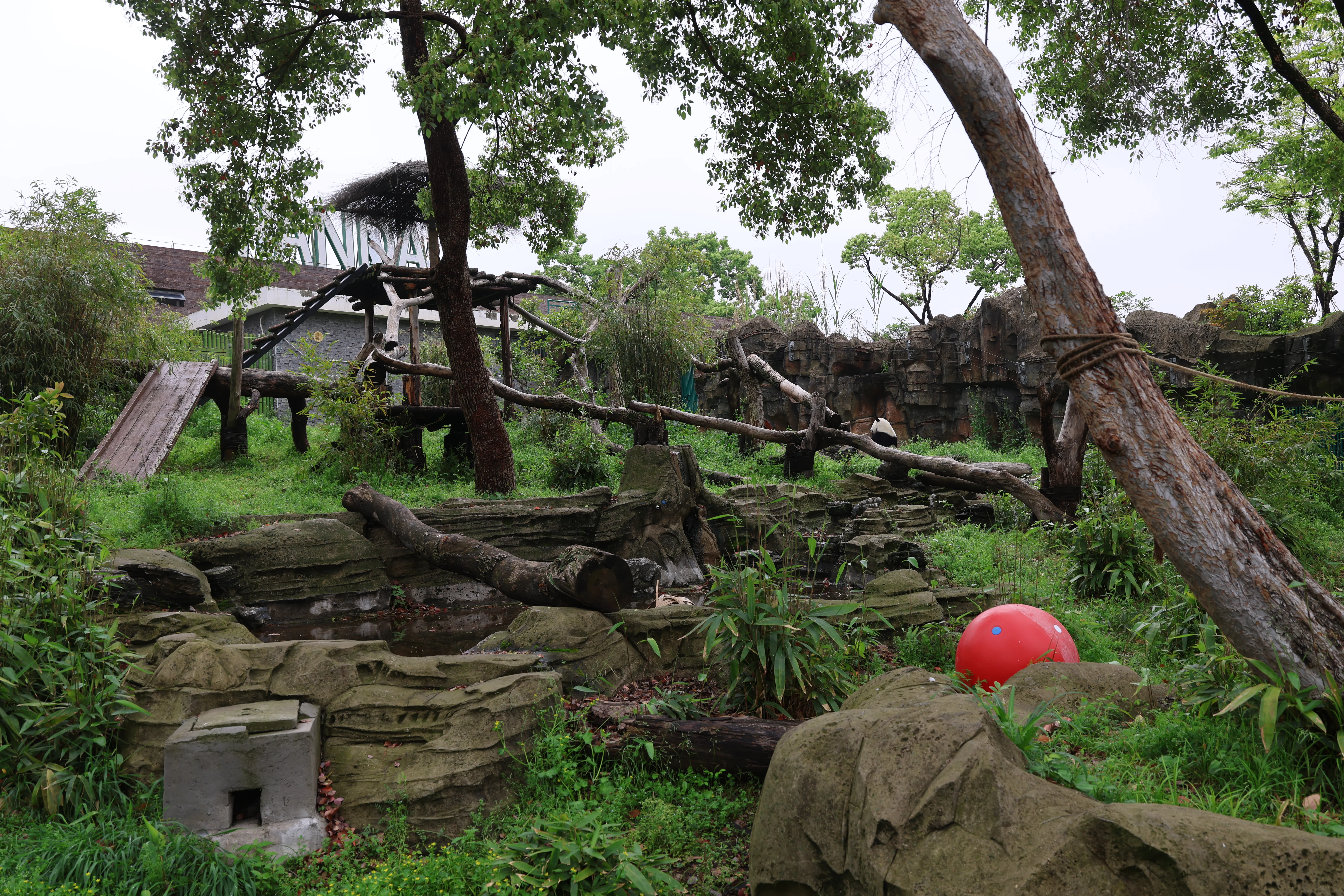 Wuhan Zoo