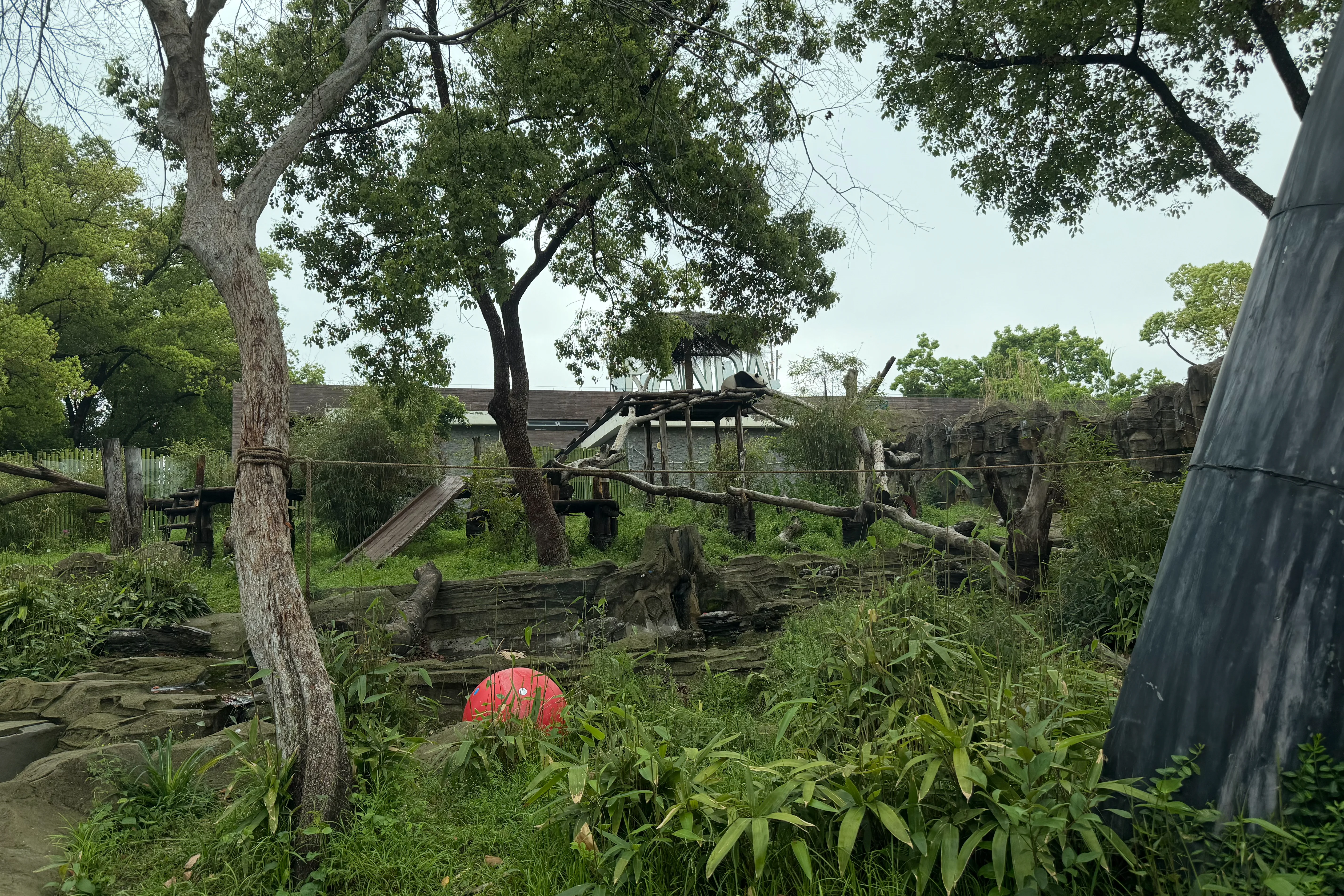 Wuhan Zoo
