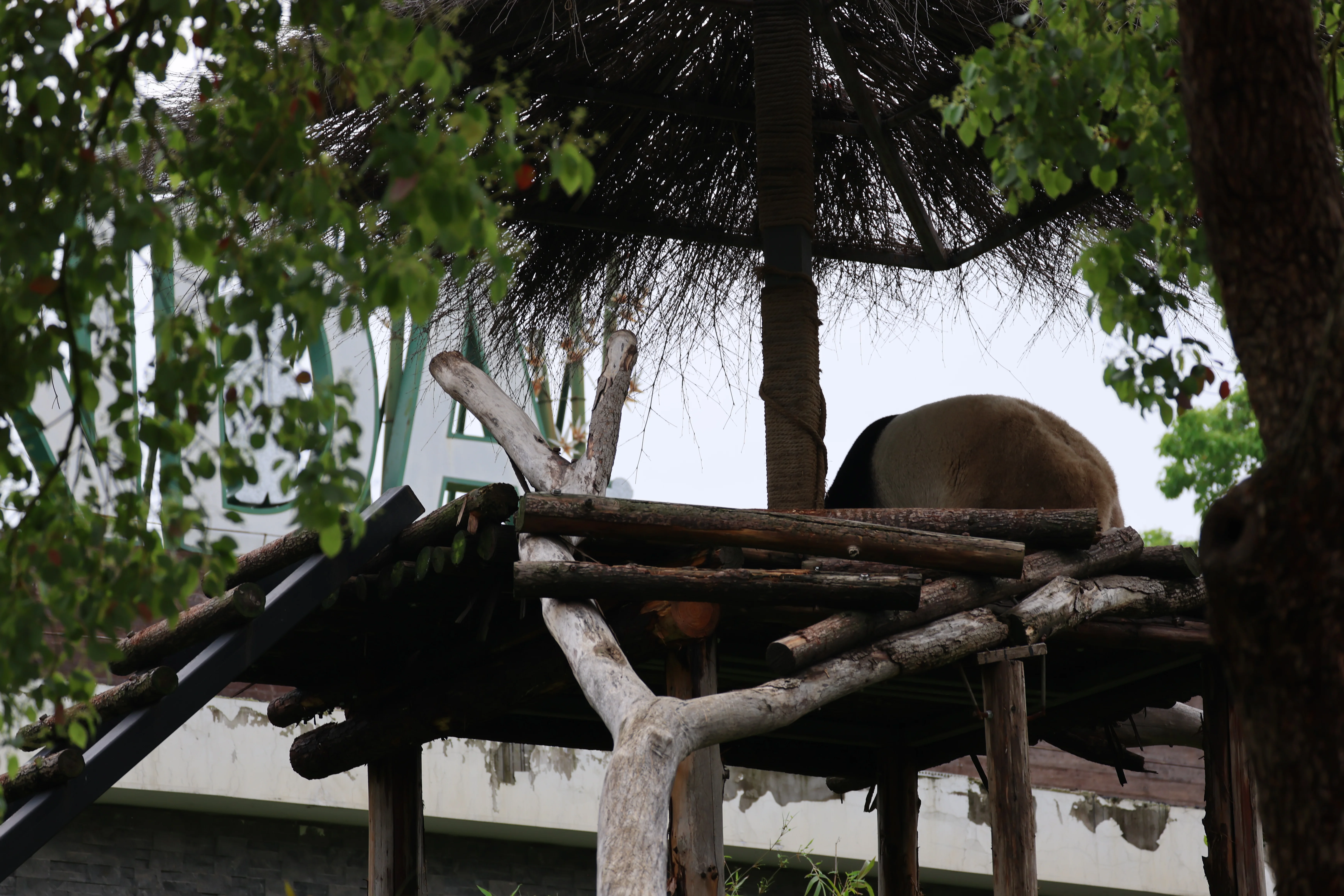 Wuhan Zoo