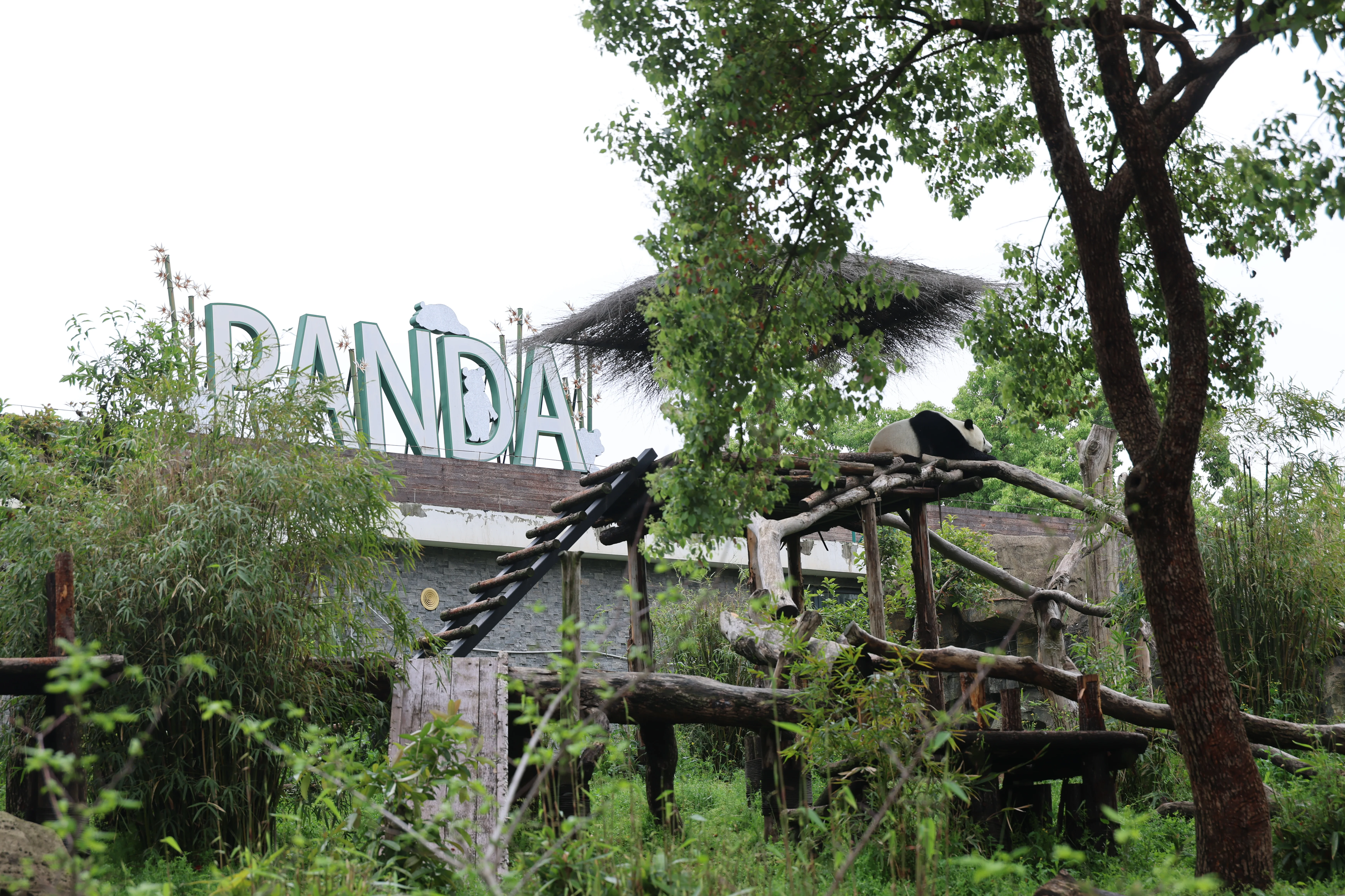 Wuhan Zoo