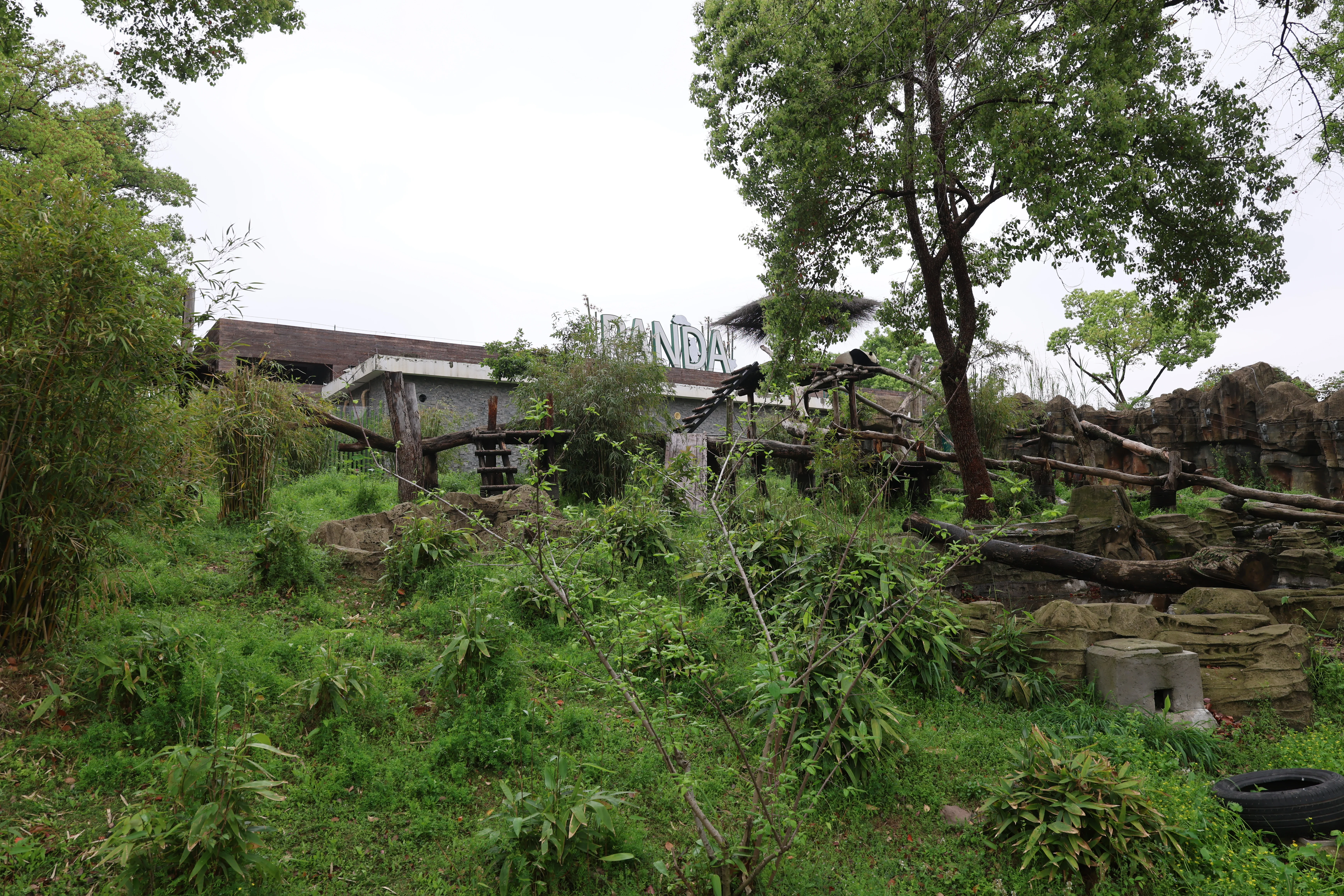 Wuhan Zoo
