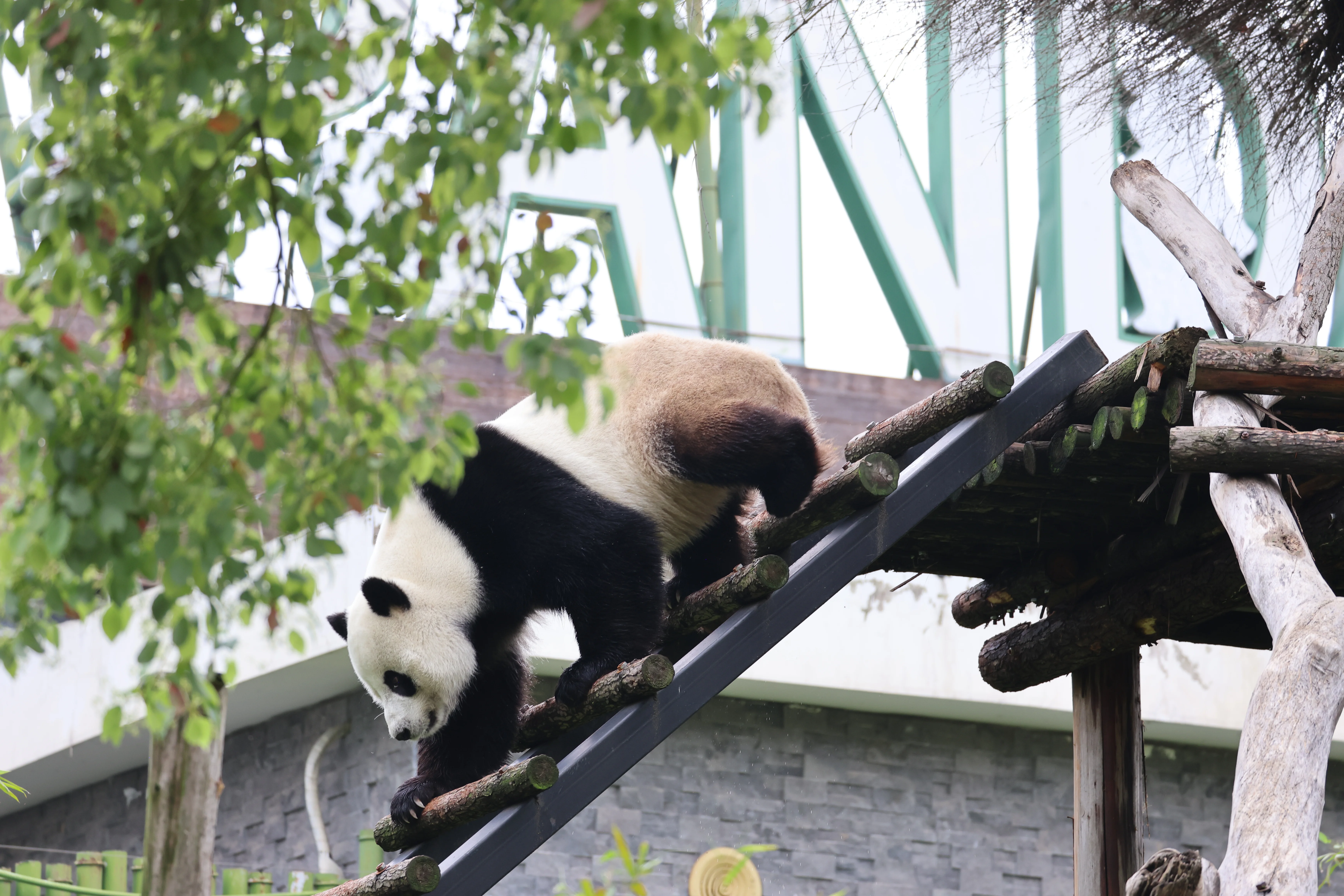 Wuhan Zoo
