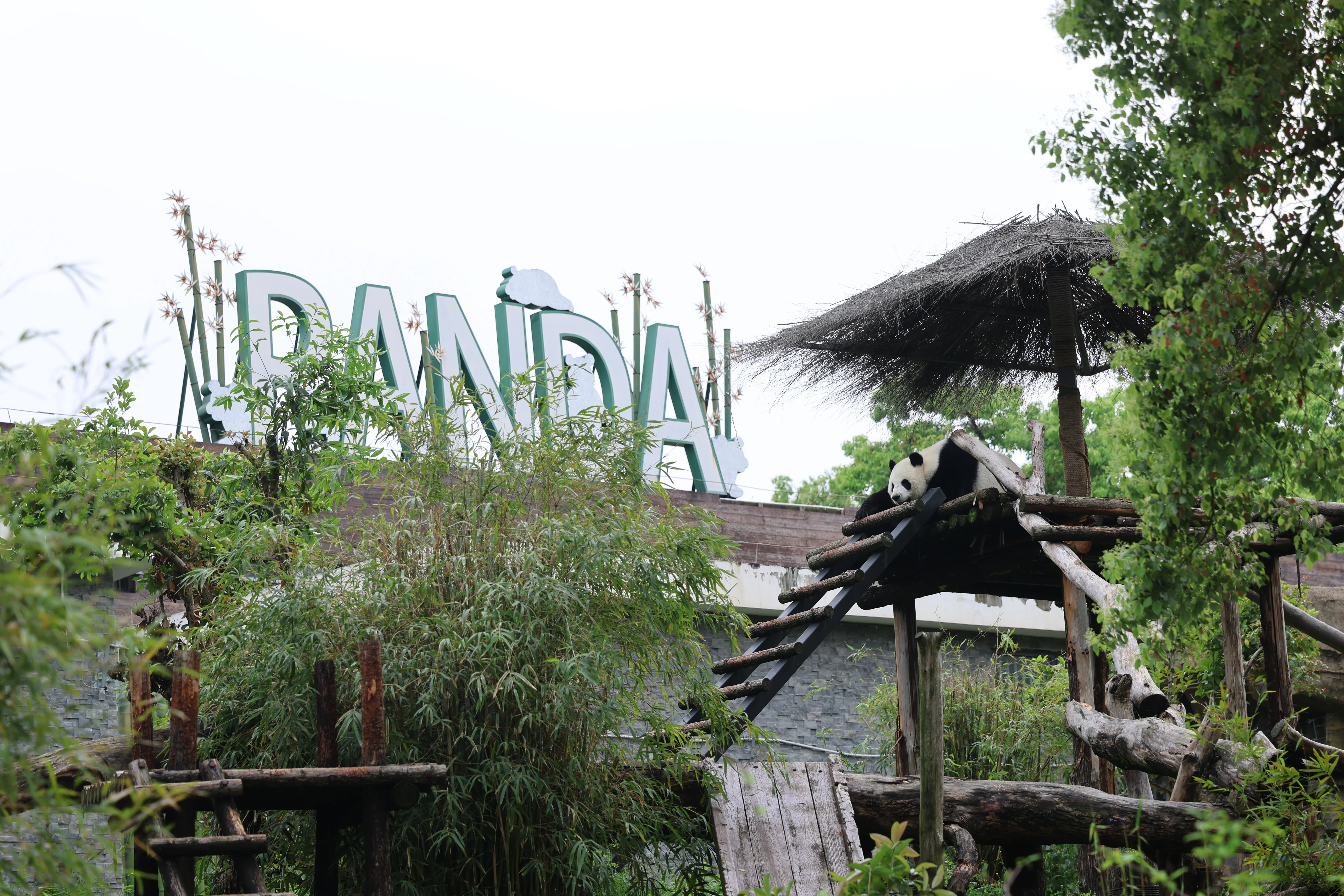 Wuhan Zoo