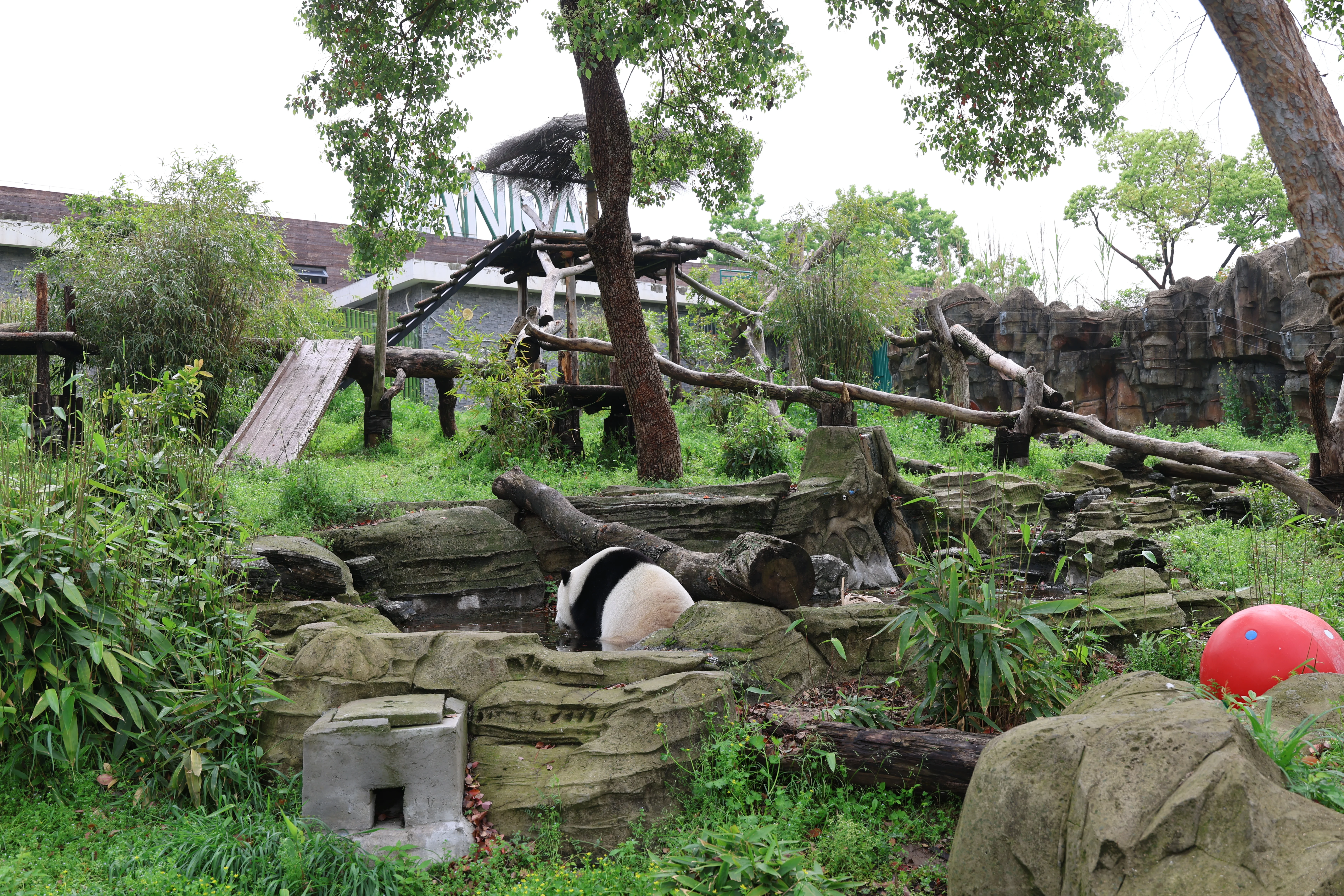Wuhan Zoo