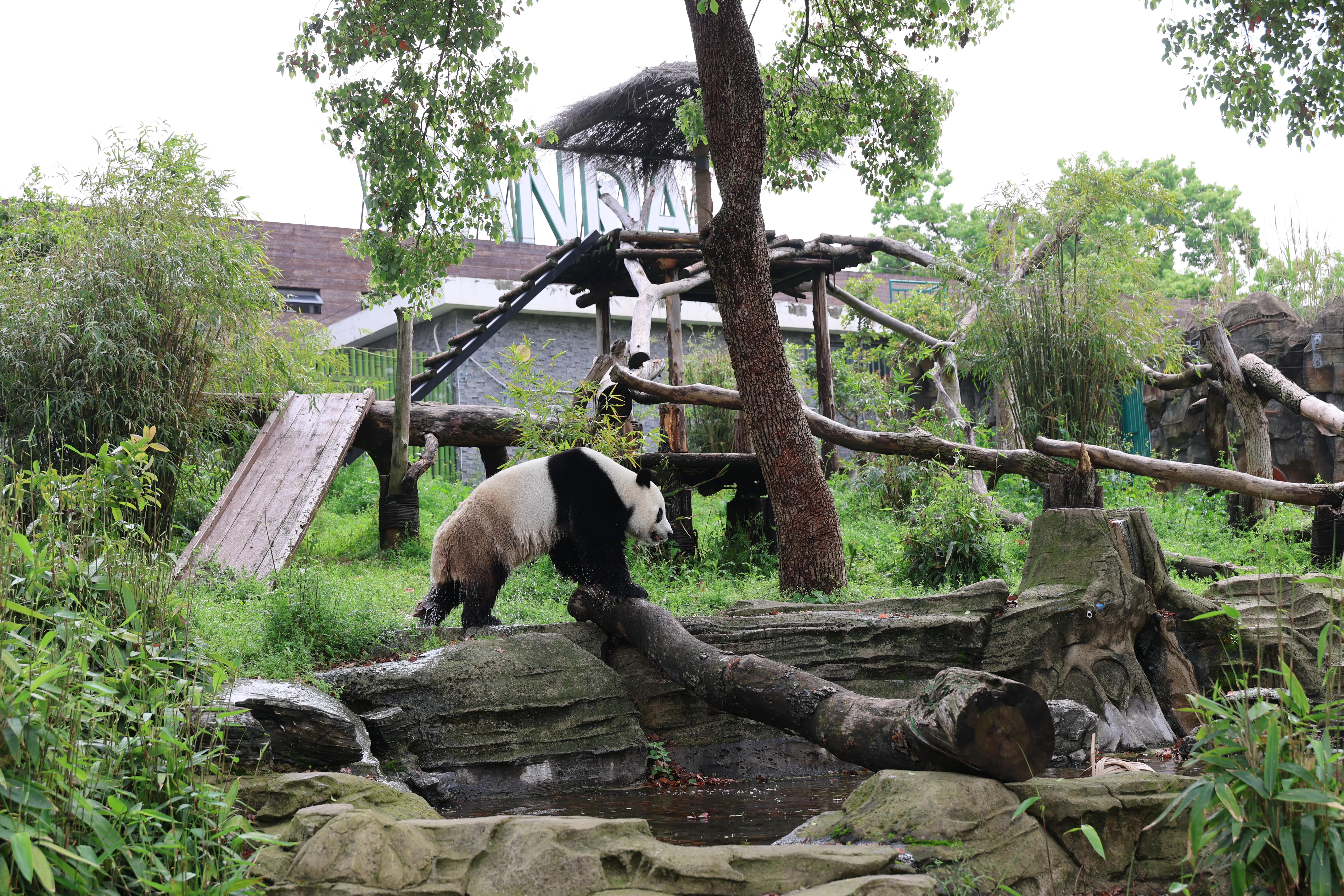 Wuhan Zoo