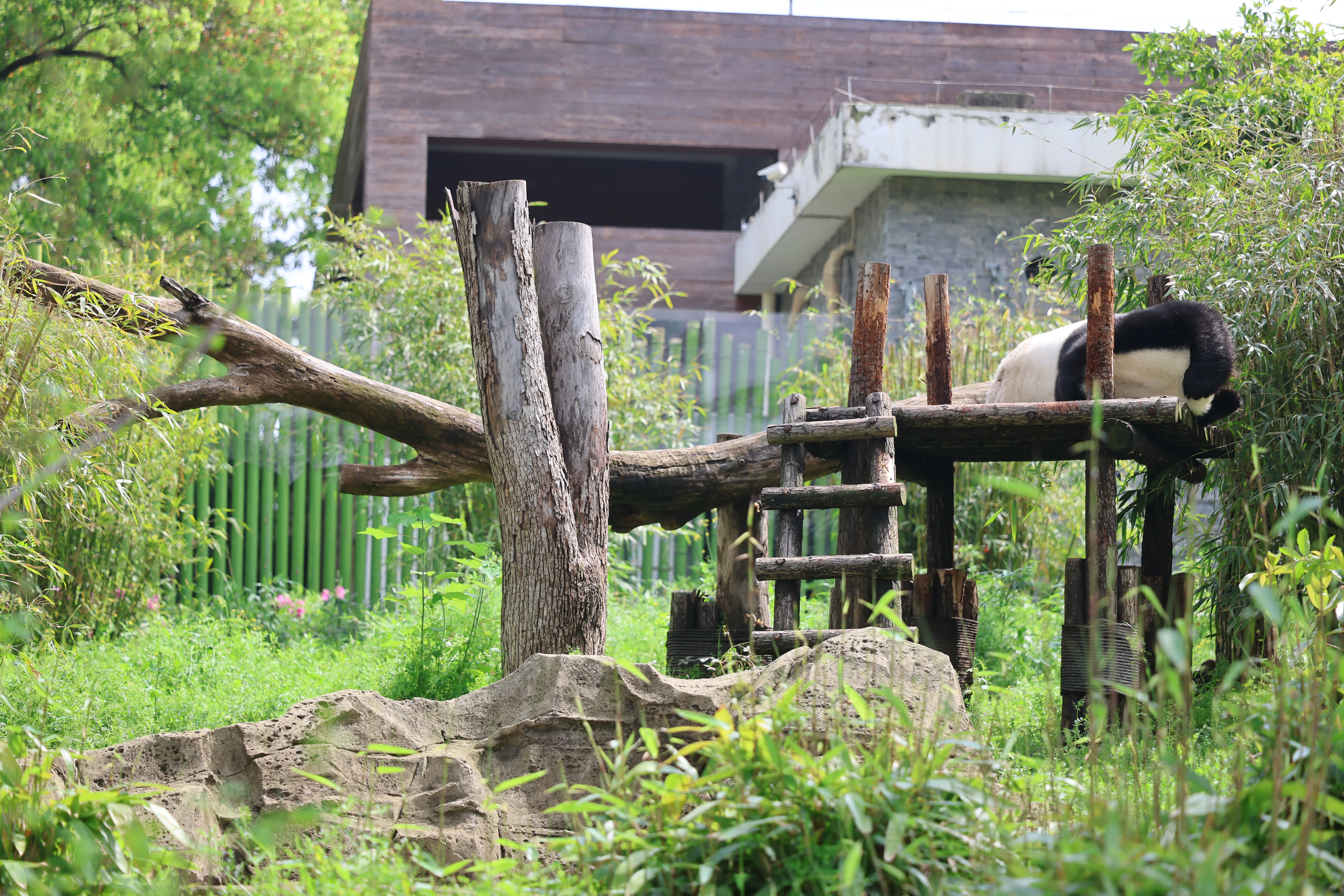 Wuhan Zoo