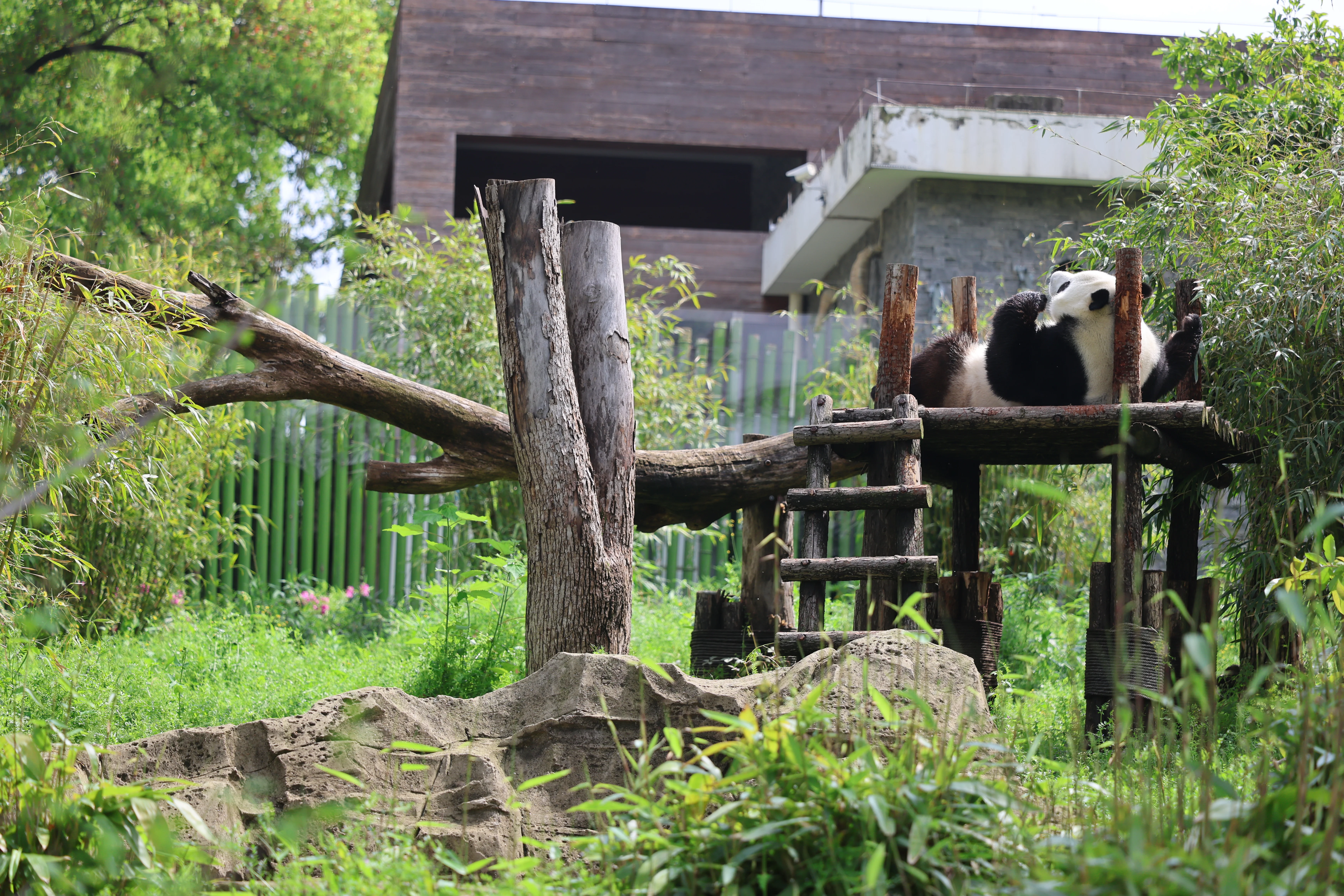 Wuhan Zoo