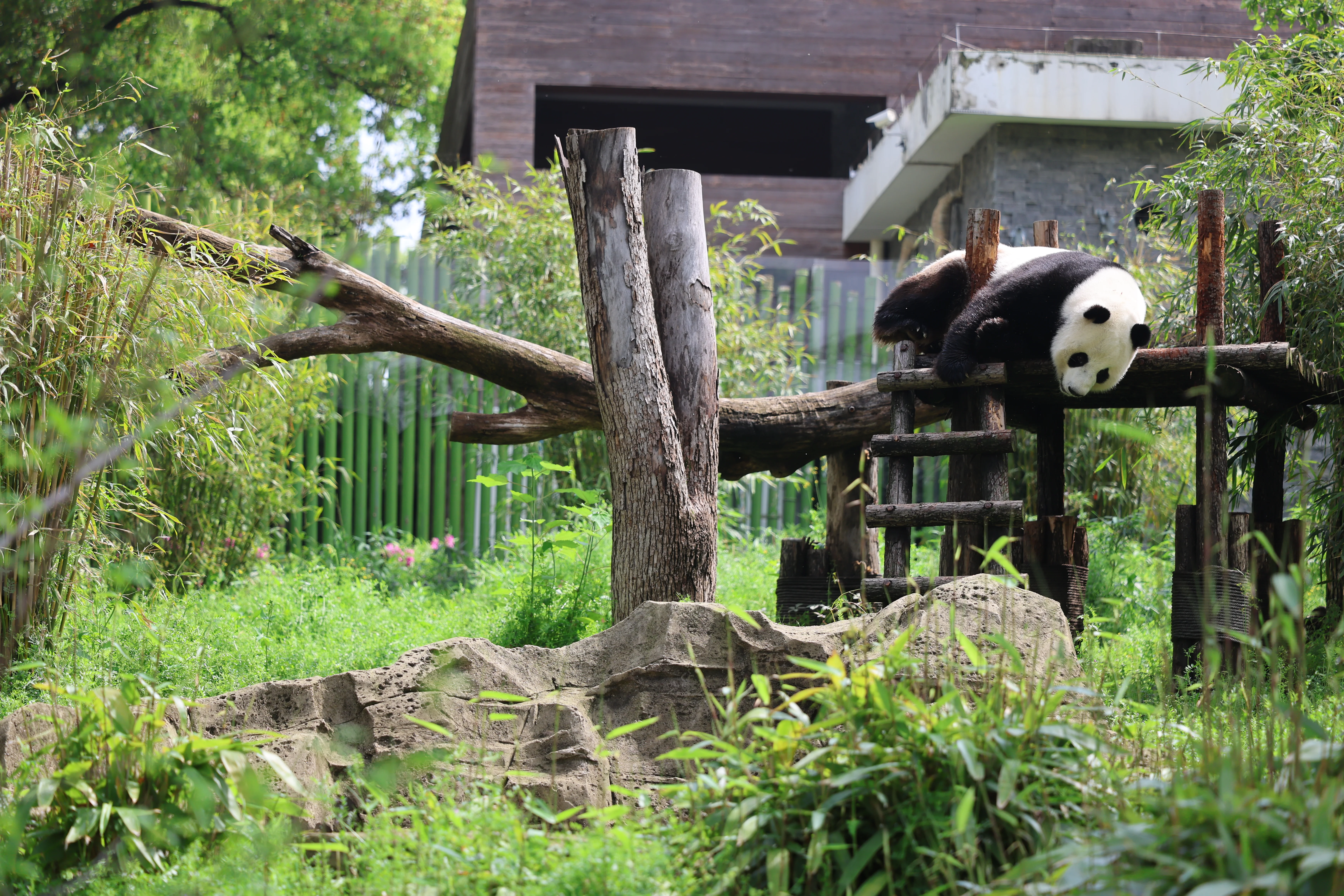 Wuhan Zoo