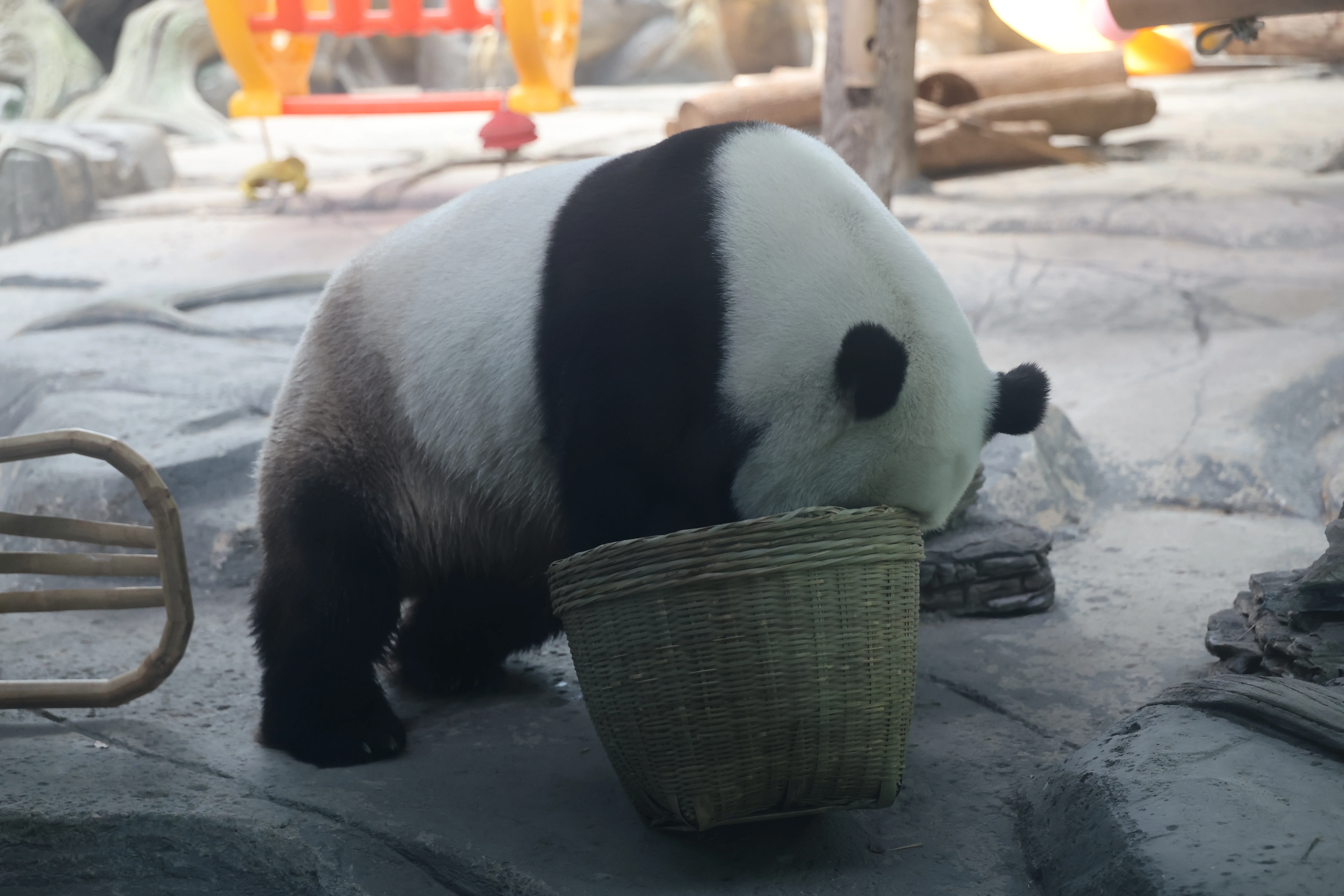 Wuhan Zoo