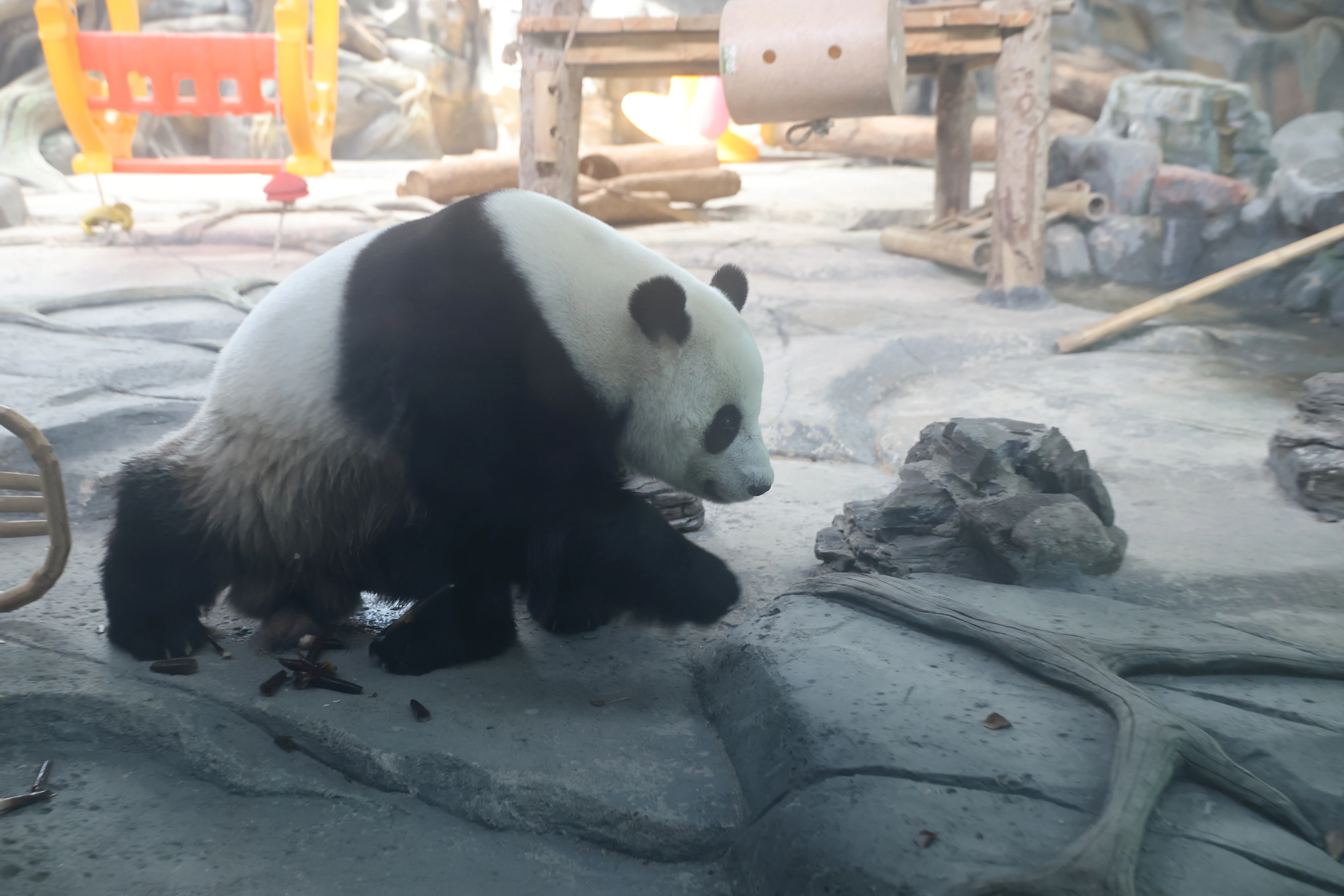 Wuhan Zoo