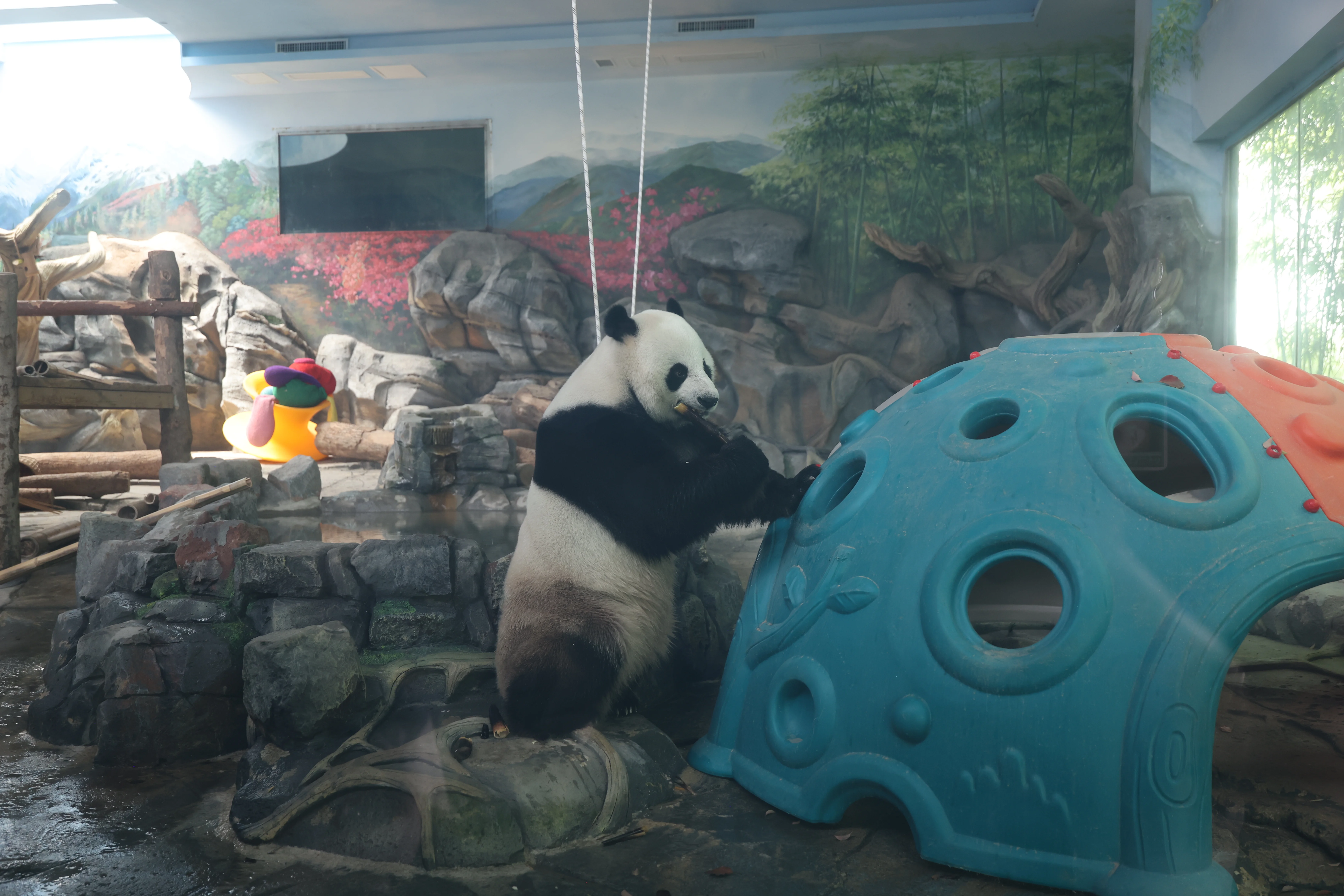 Wuhan Zoo