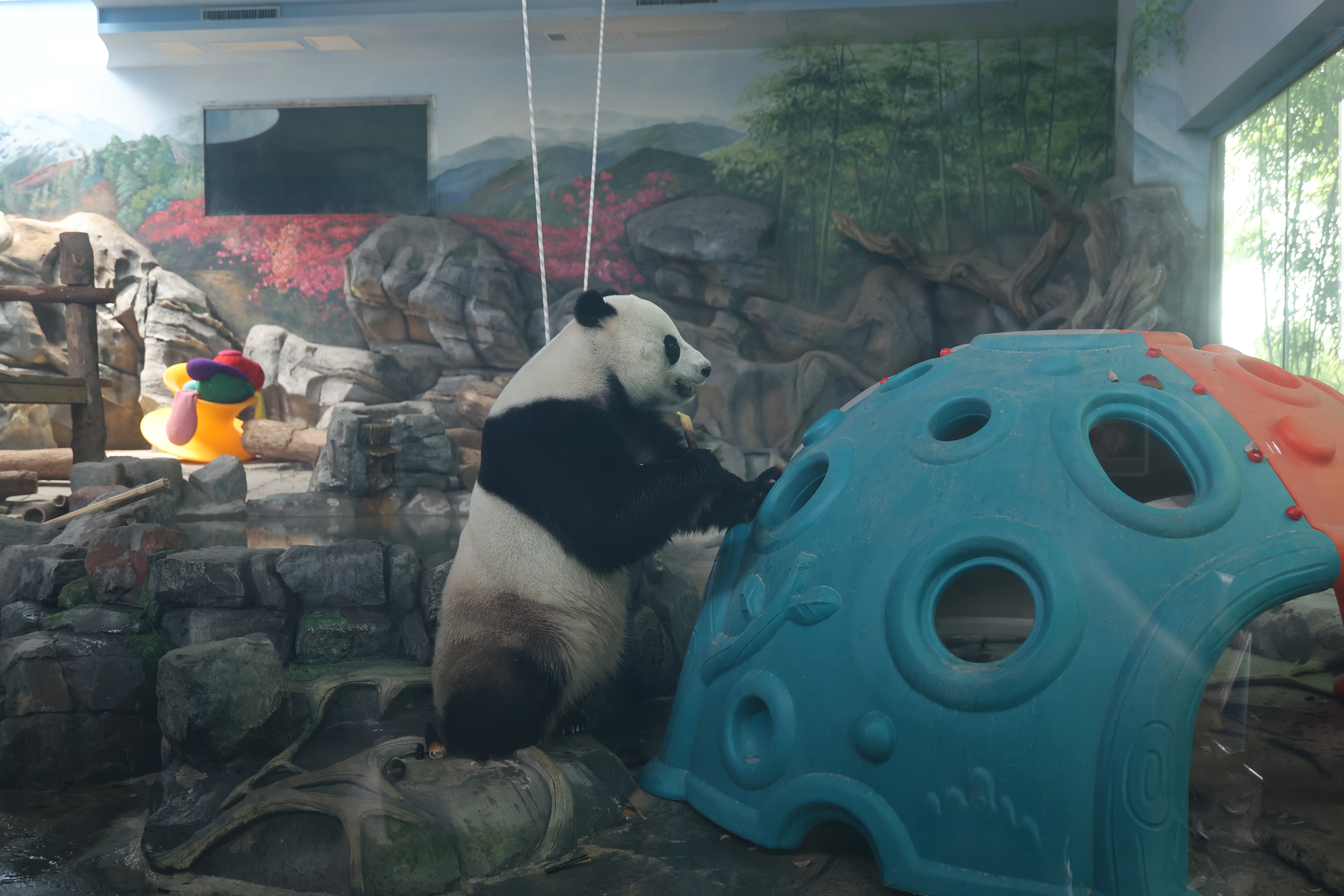 Wuhan Zoo