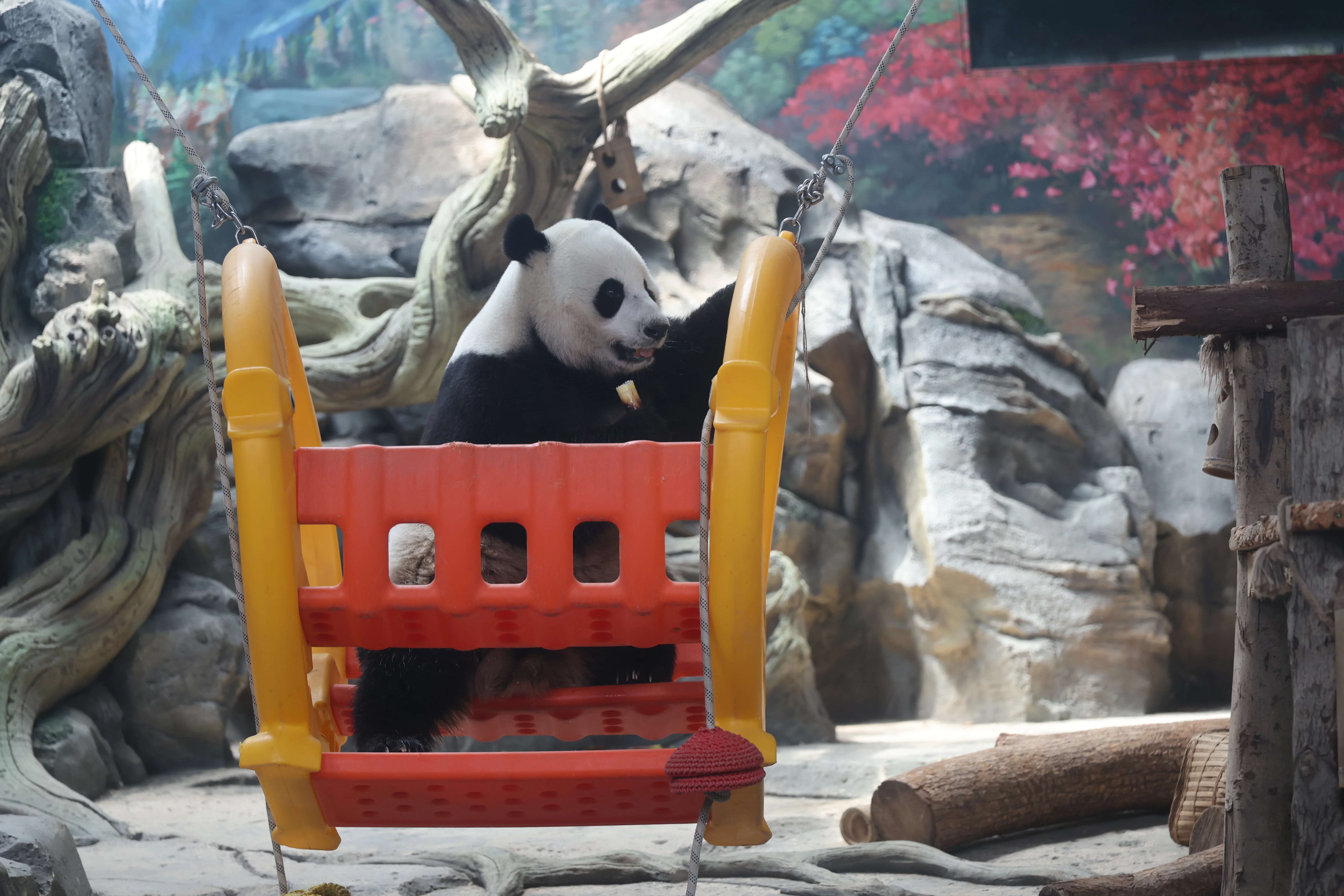 Wuhan Zoo