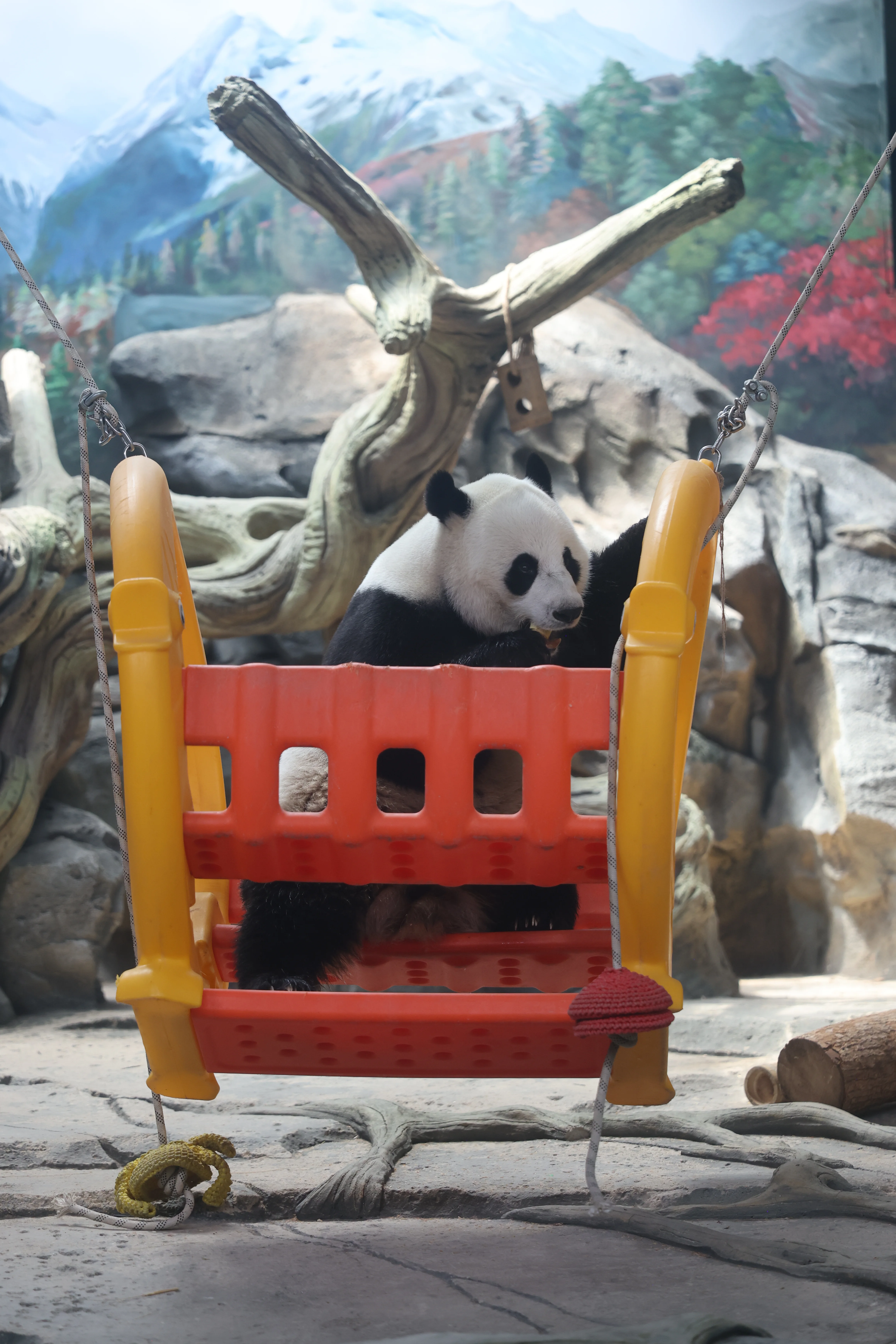 Wuhan Zoo