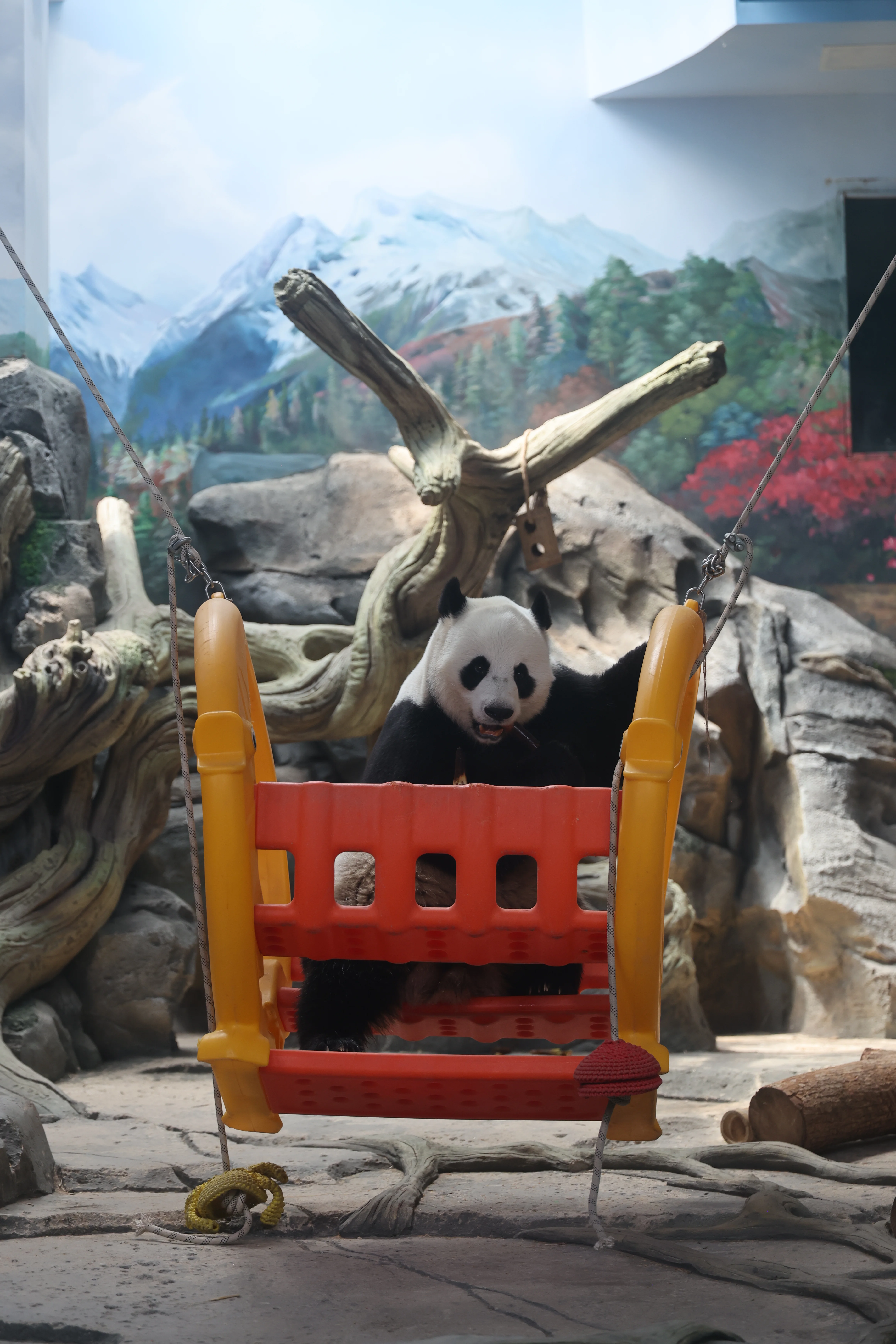 Wuhan Zoo