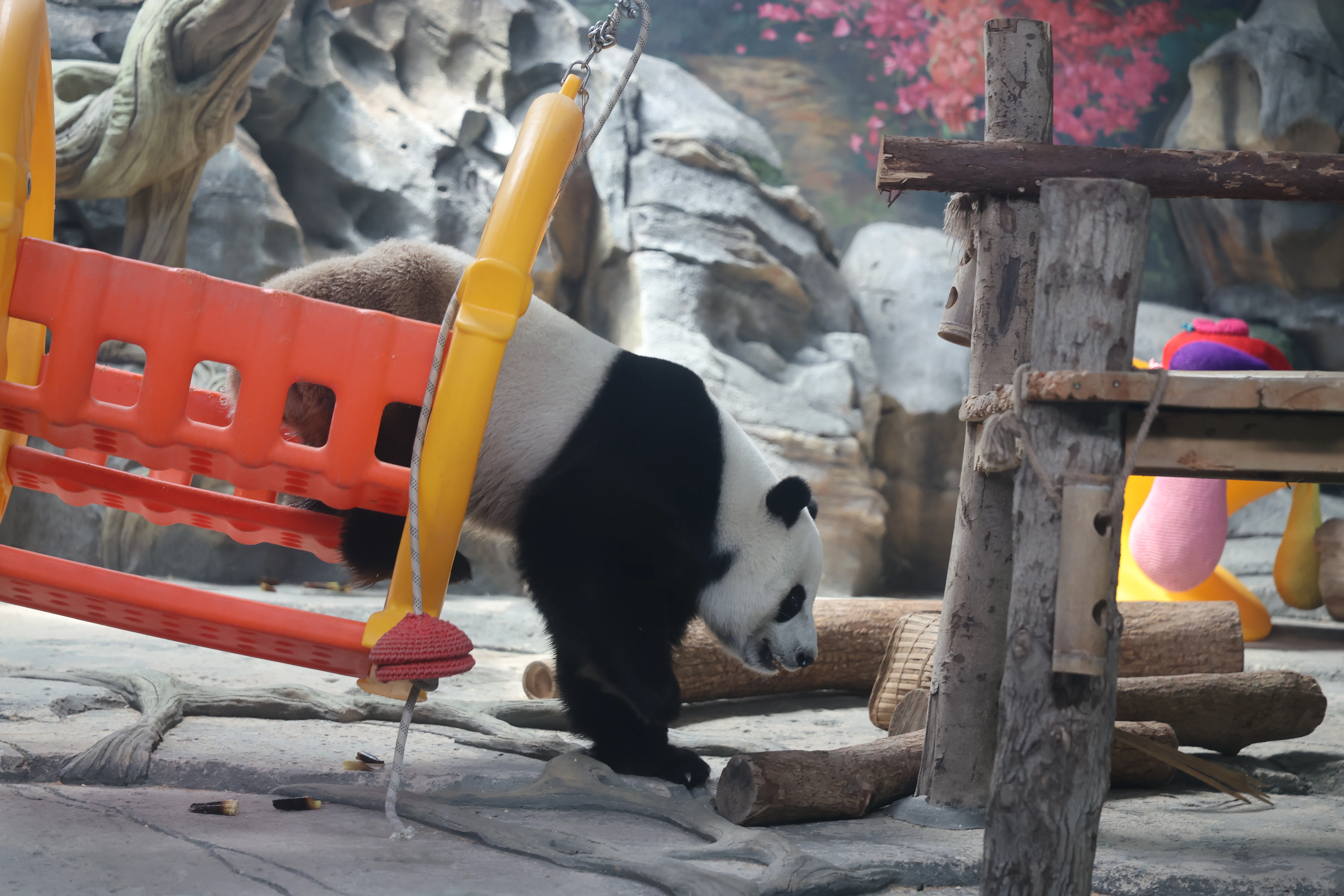 Wuhan Zoo
