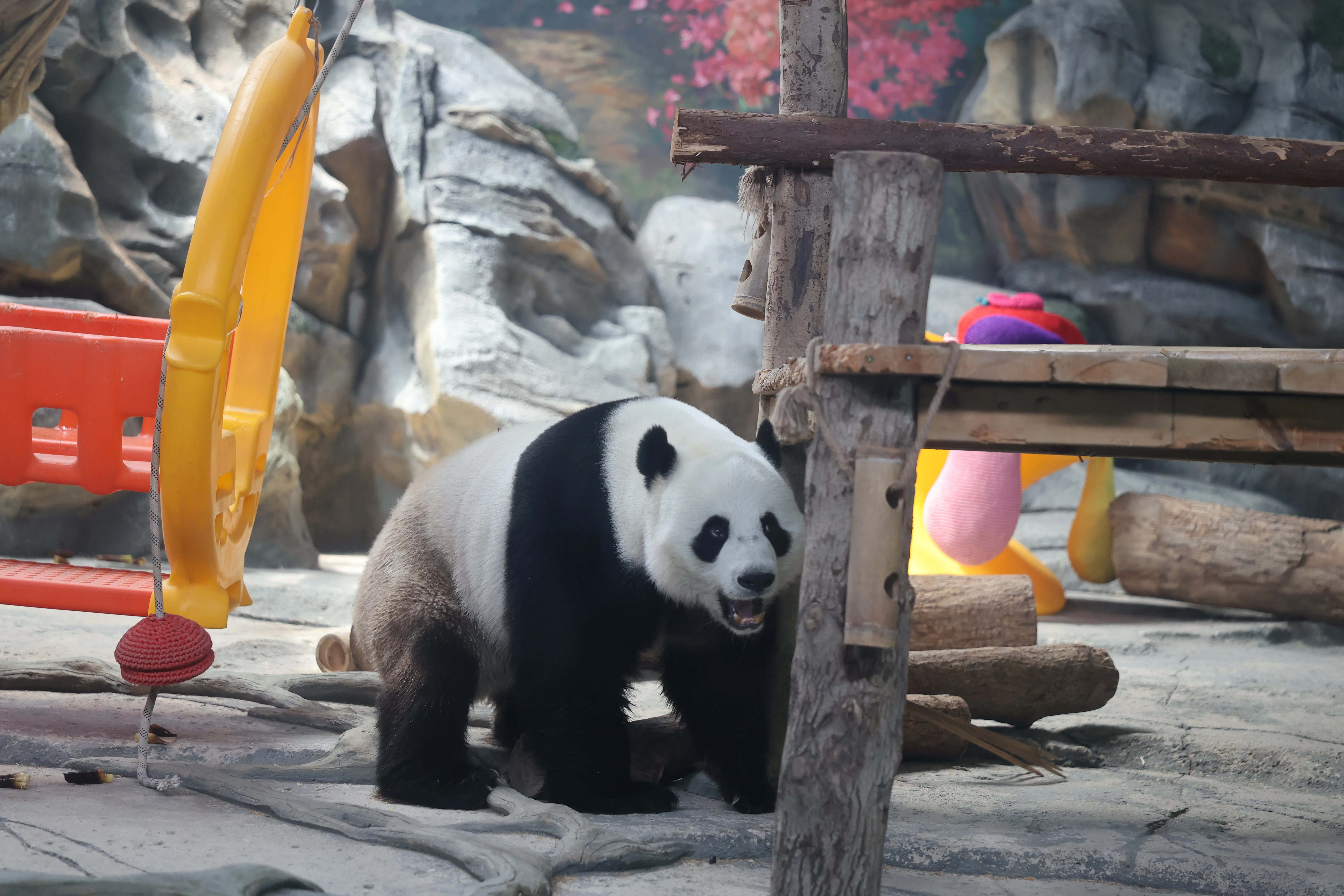 Wuhan Zoo