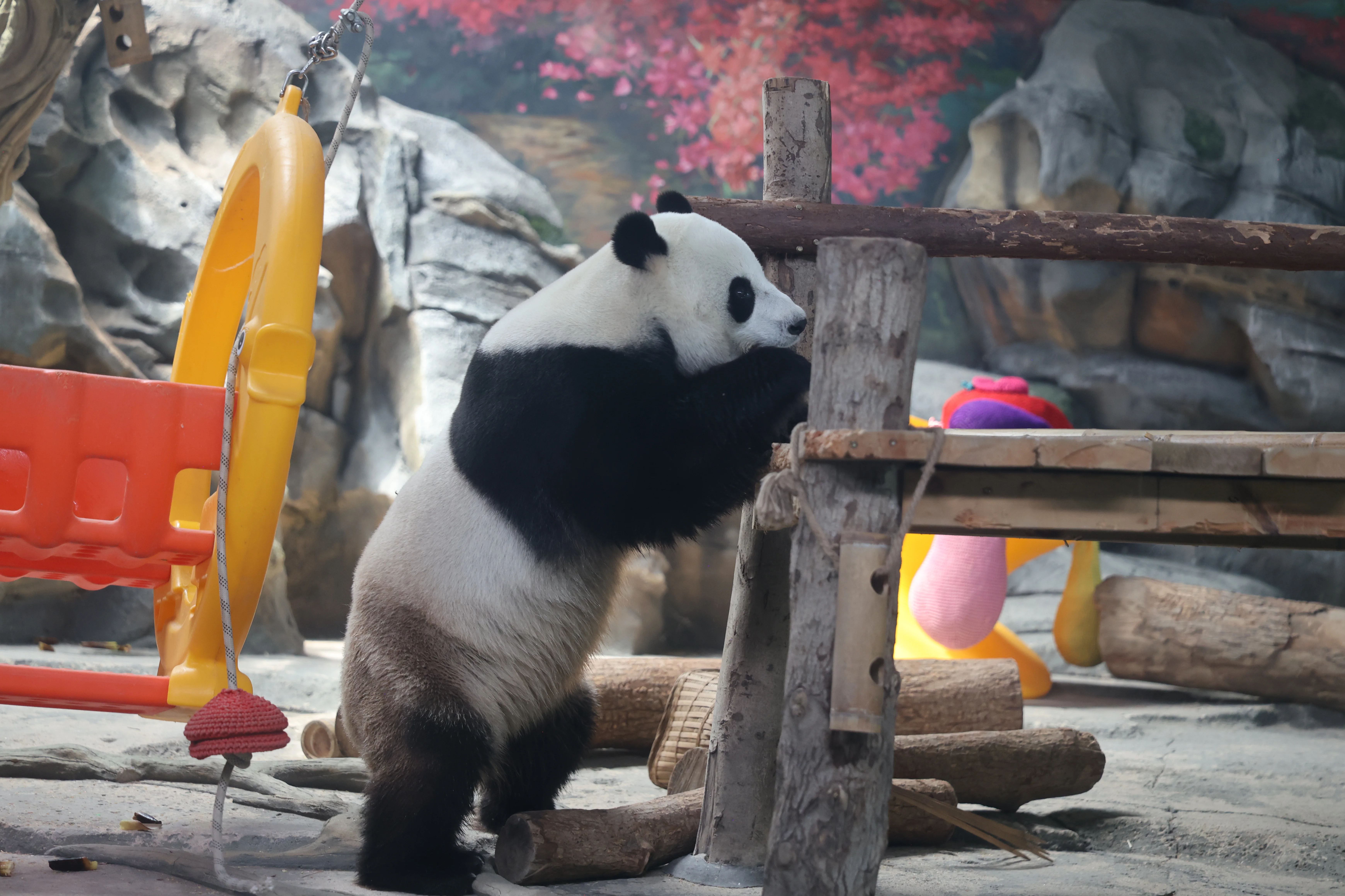 Wuhan Zoo