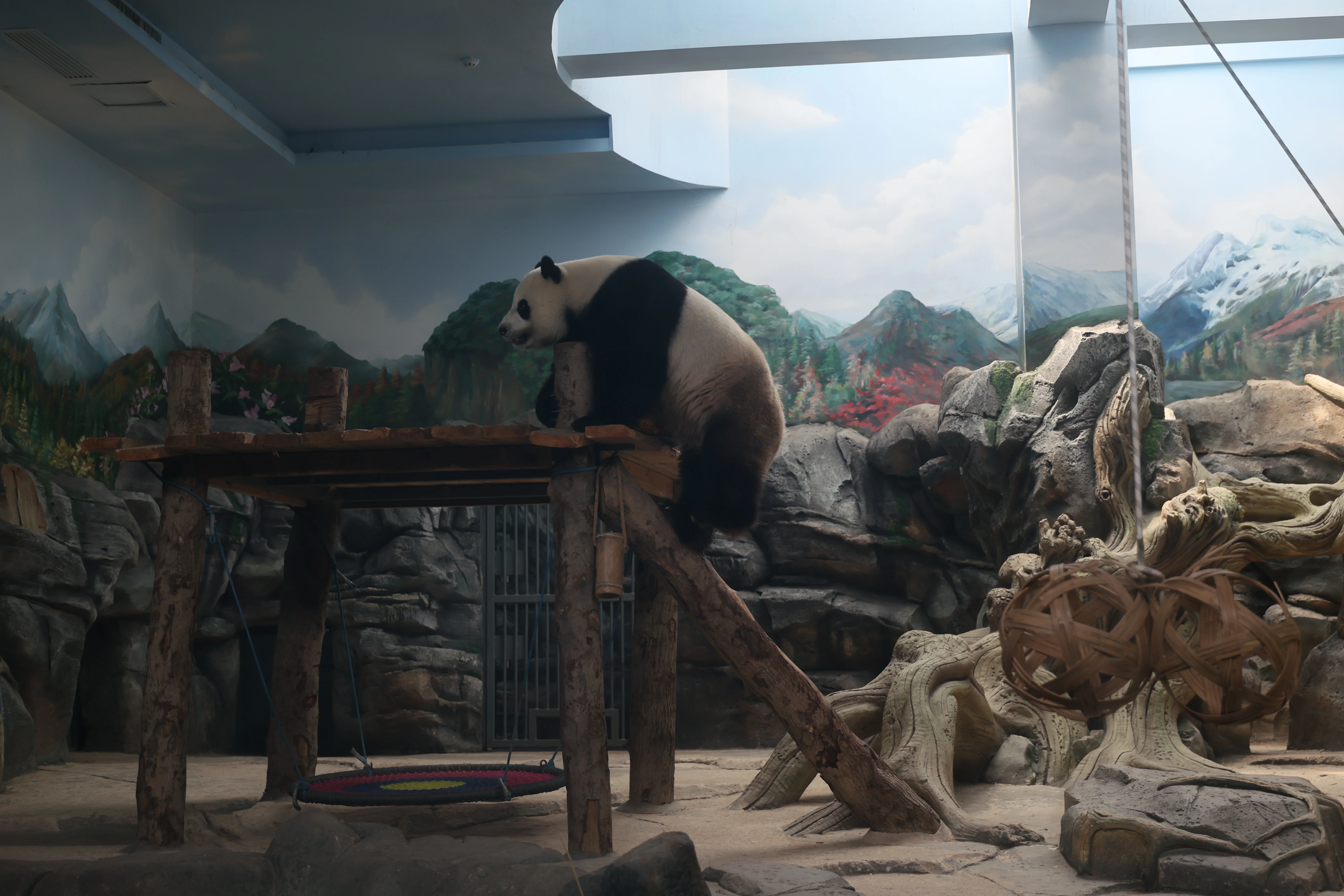 Wuhan Zoo