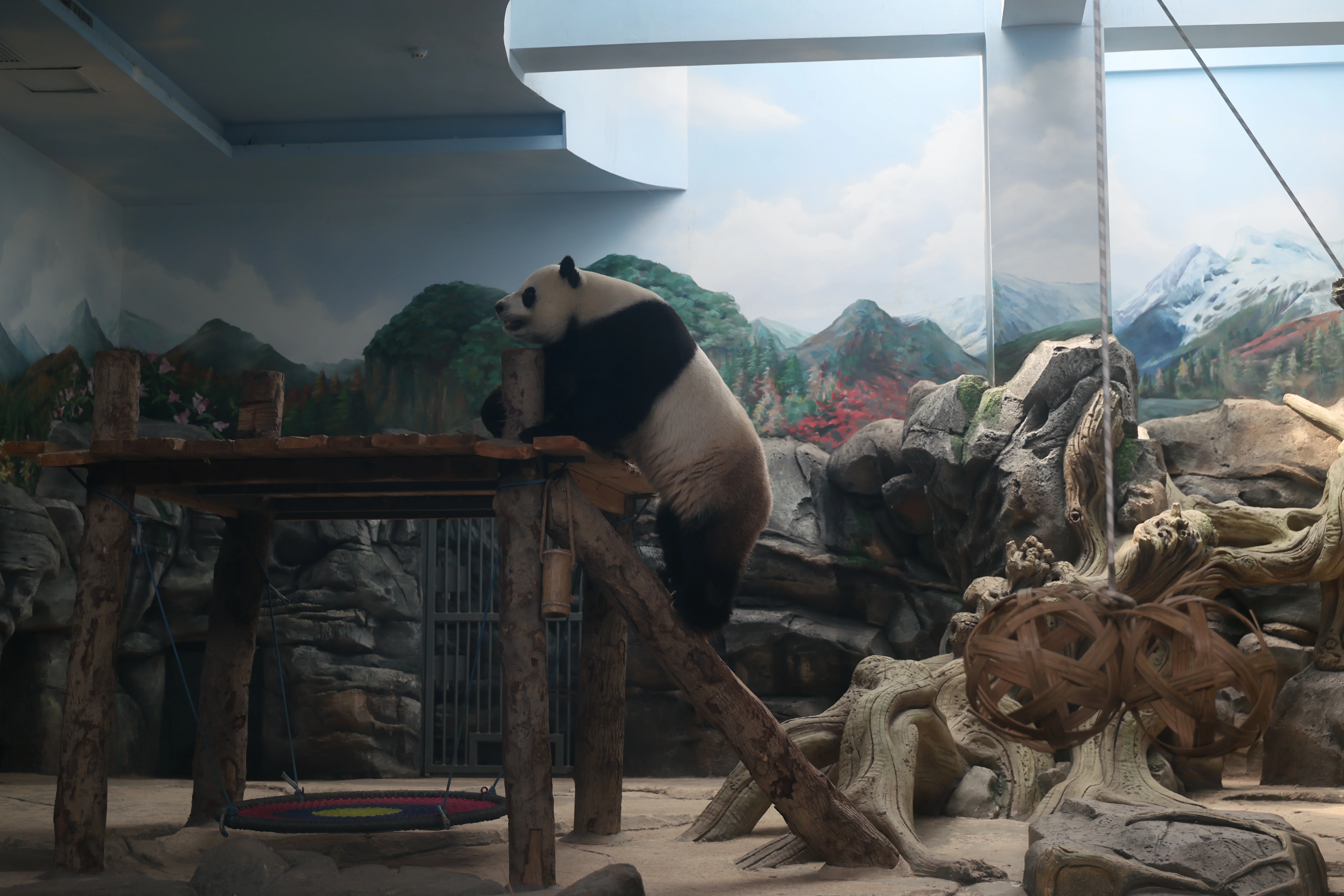 Wuhan Zoo