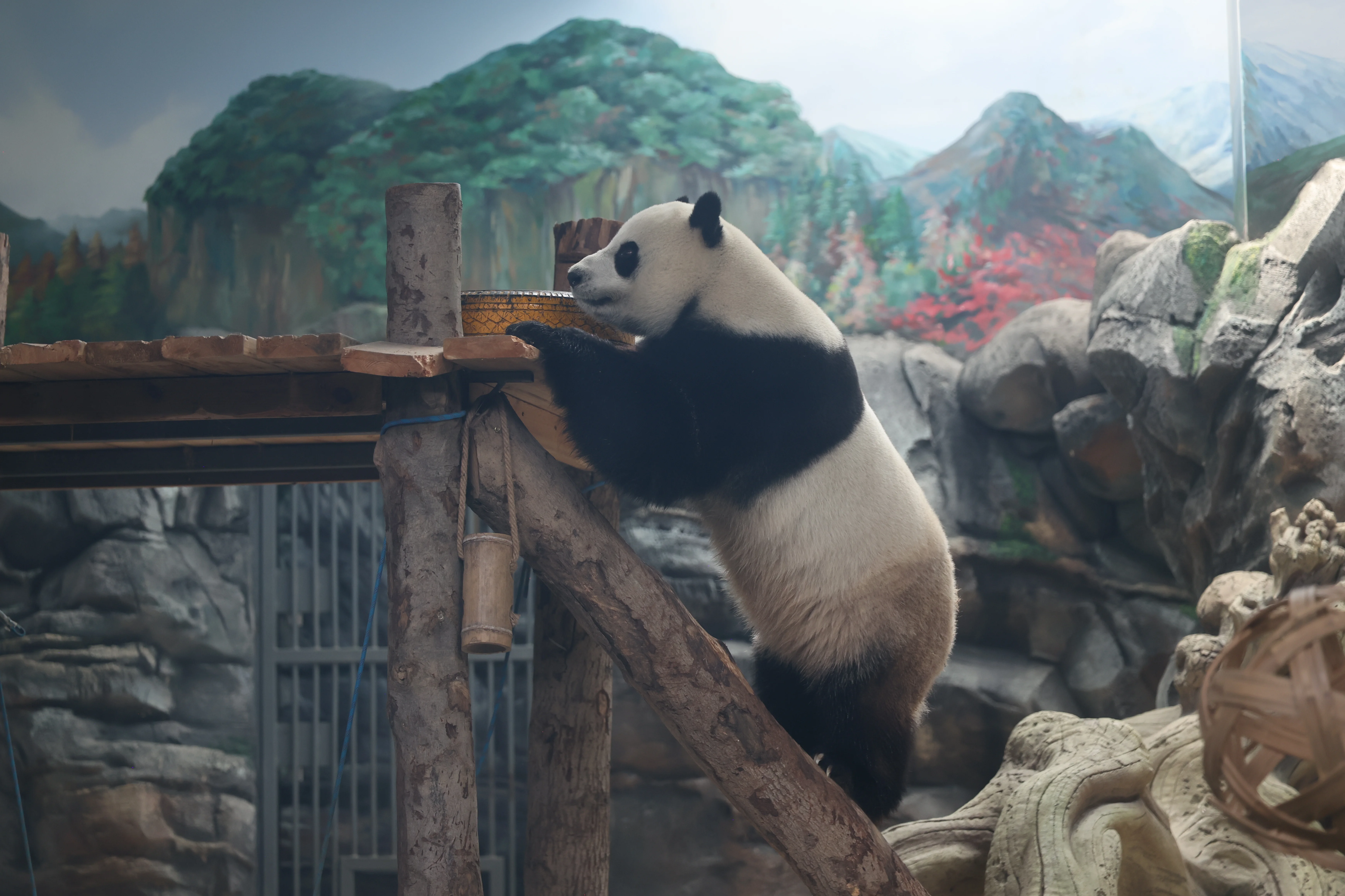 Wuhan Zoo