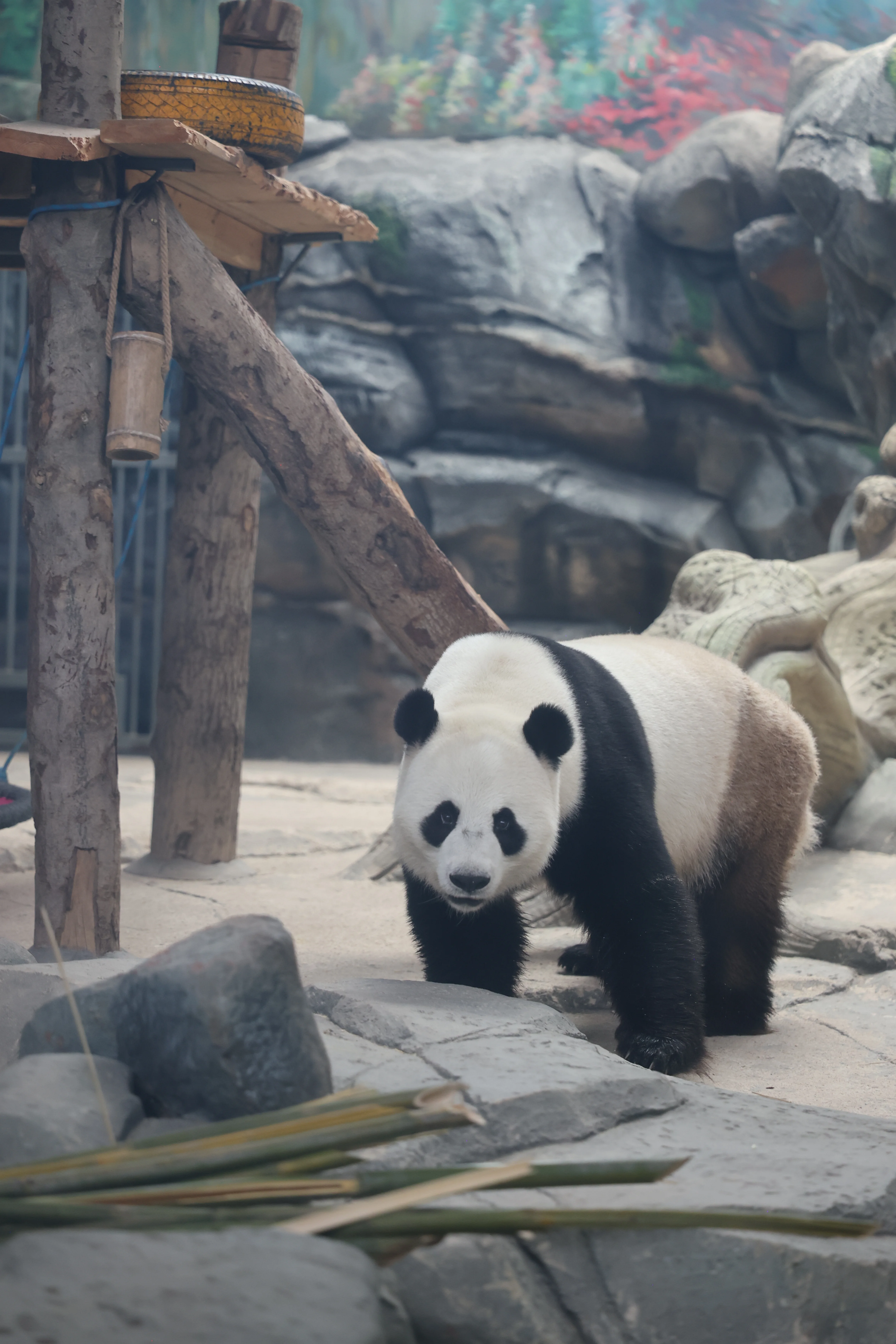 Wuhan Zoo