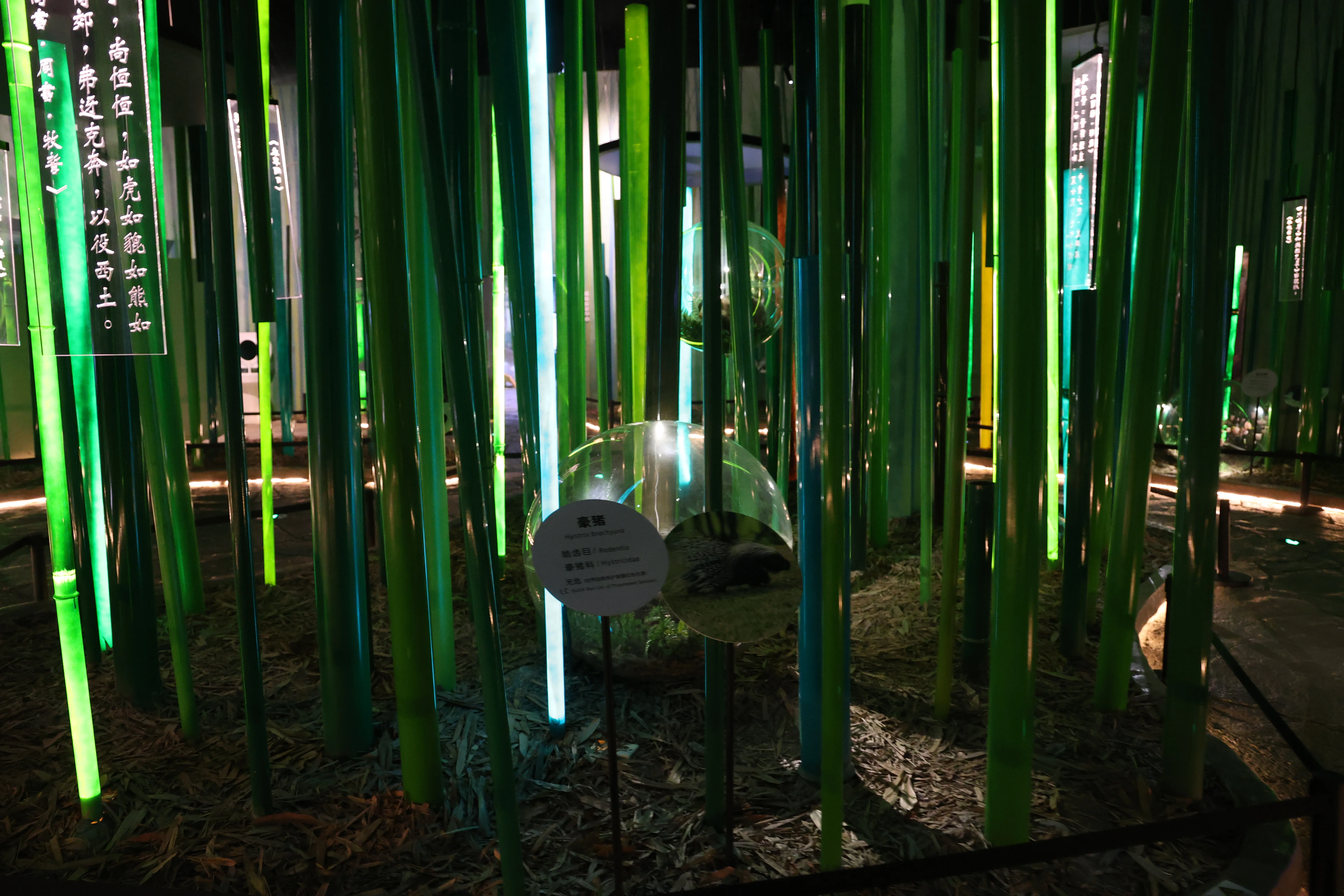 Chengdu Giant Panda Museum @ CRBGPB
