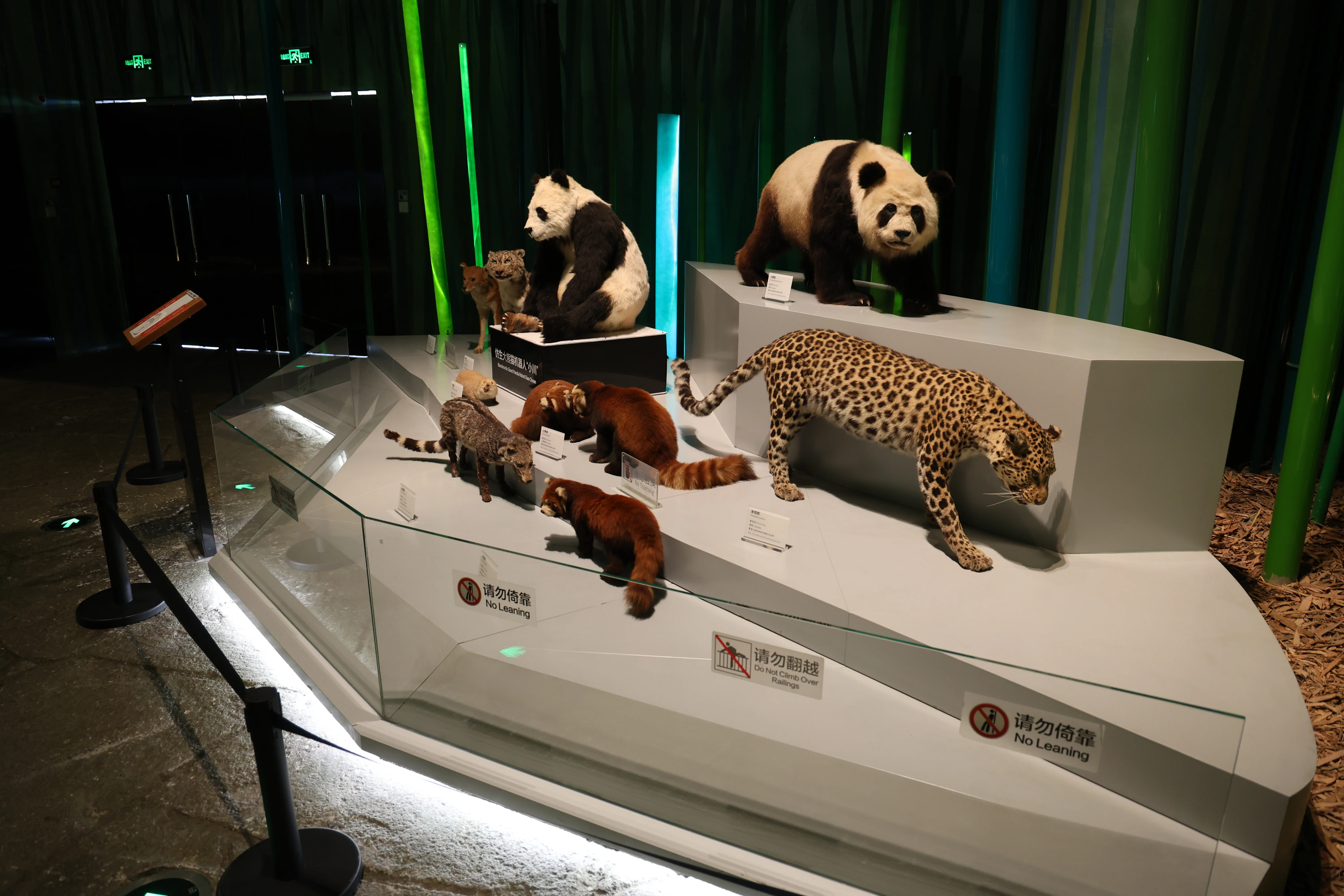 Chengdu Giant Panda Museum @ CRBGPB