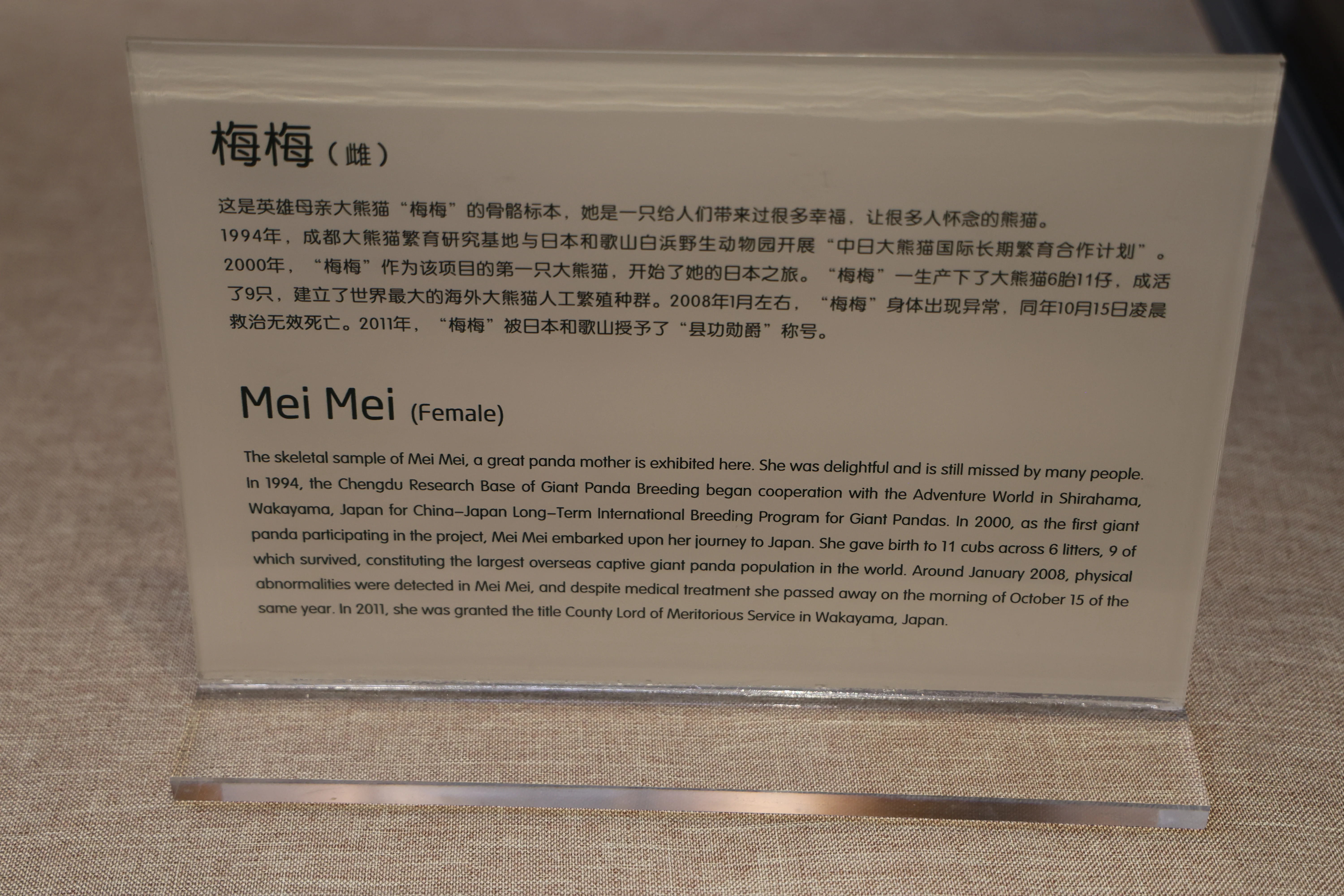 Chengdu Giant Panda Museum @ CRBGPB