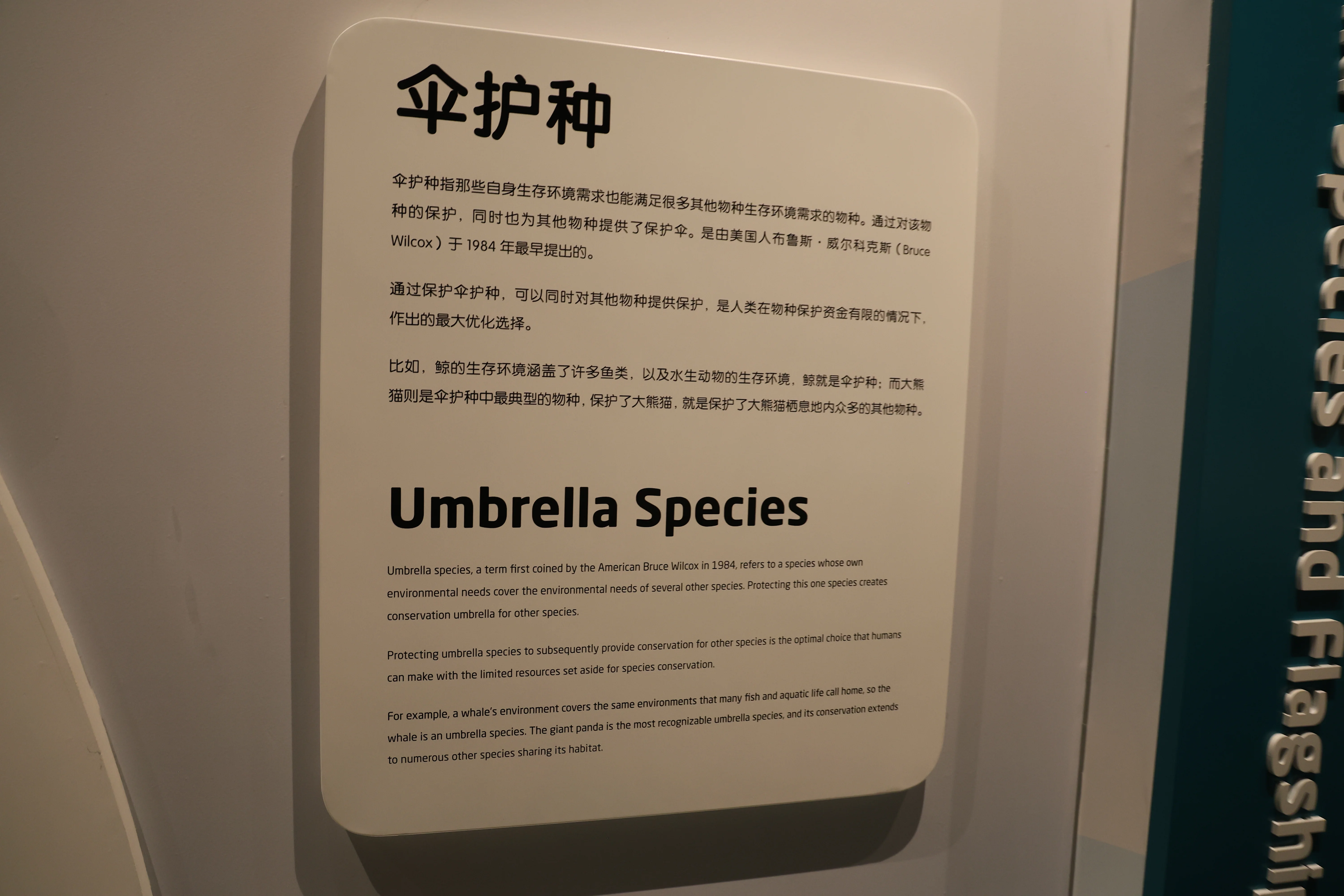 Chengdu Giant Panda Museum @ CRBGPB