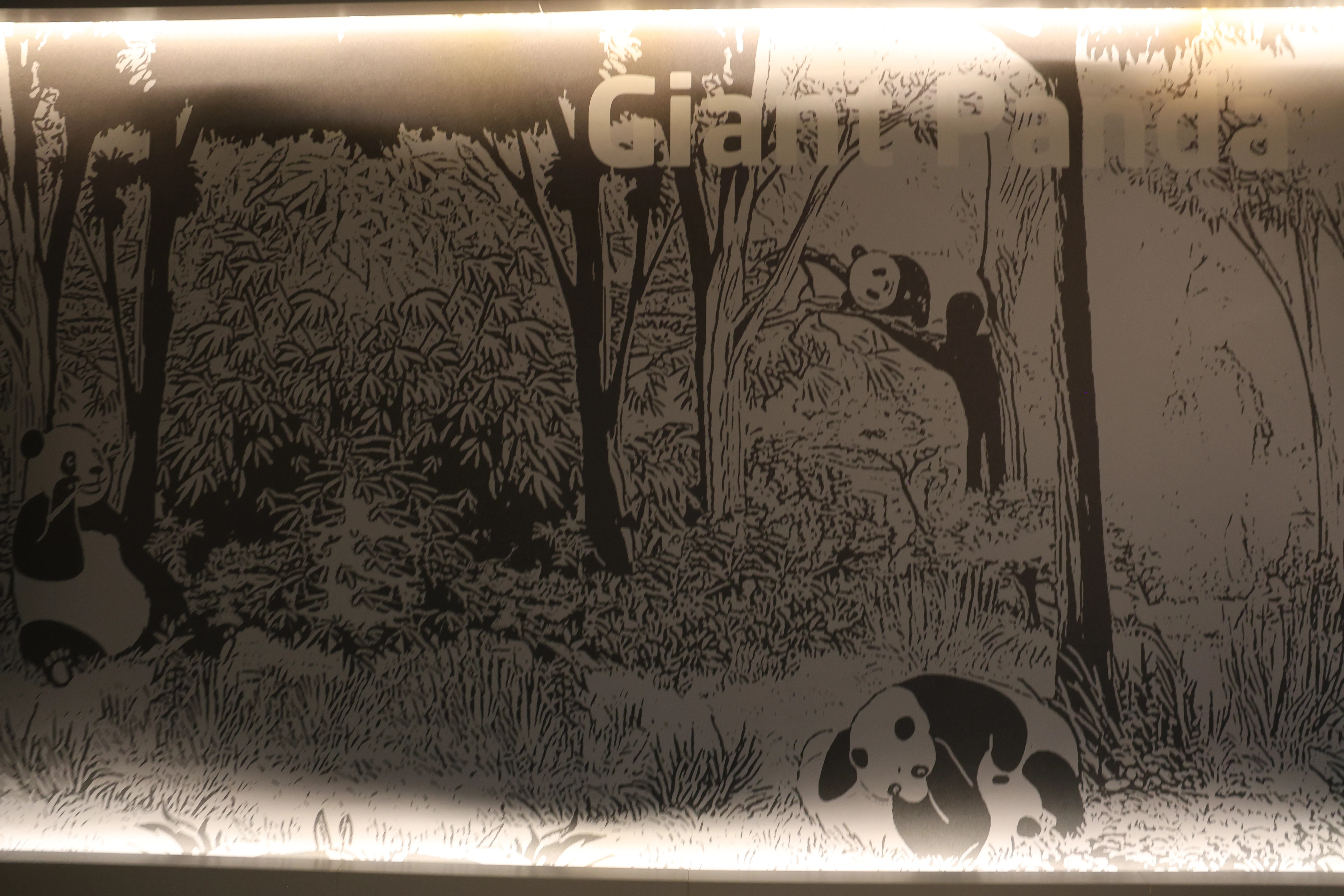 Chengdu Giant Panda Museum @ CRBGPB