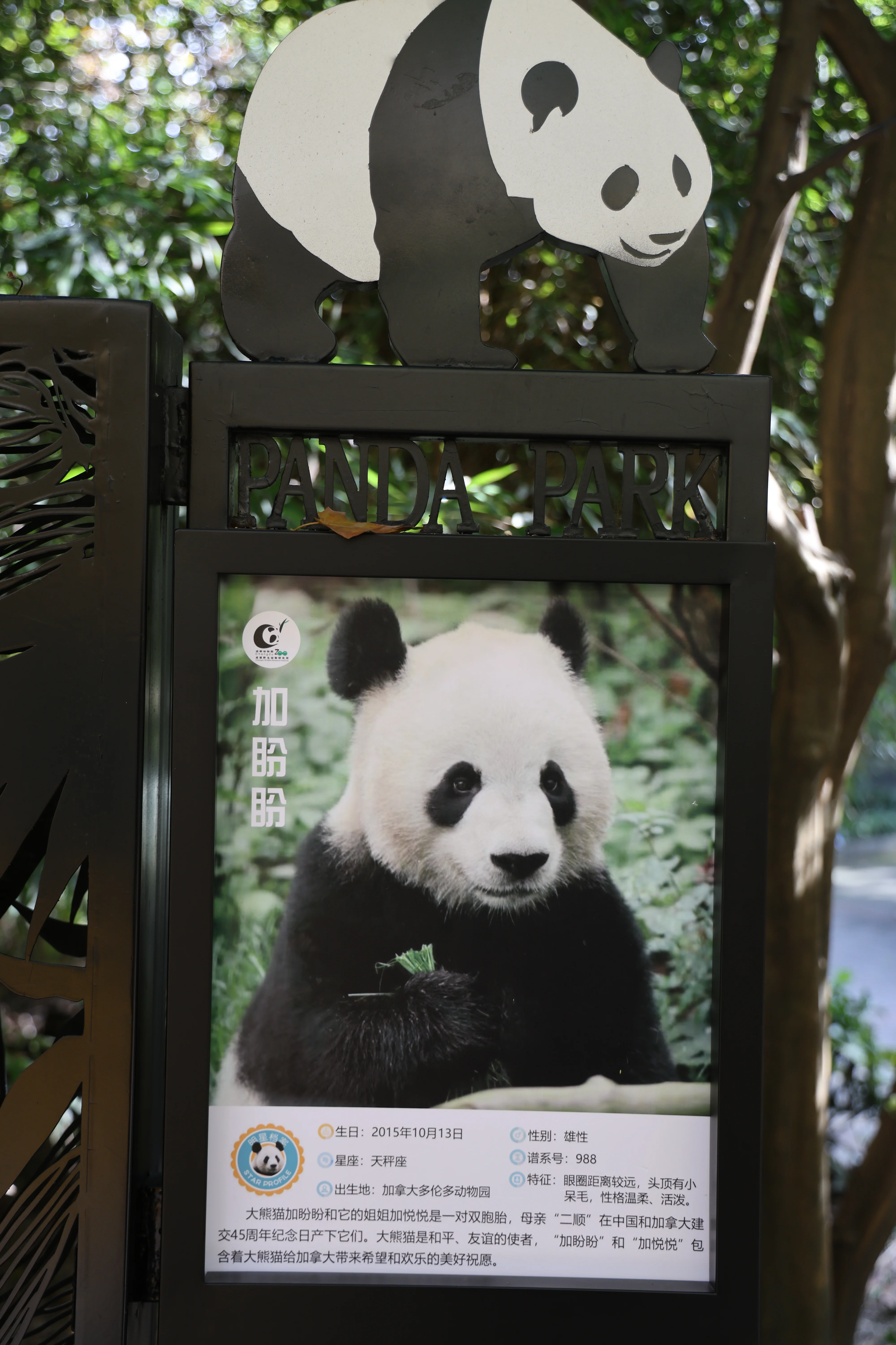 Chengdu Zoo