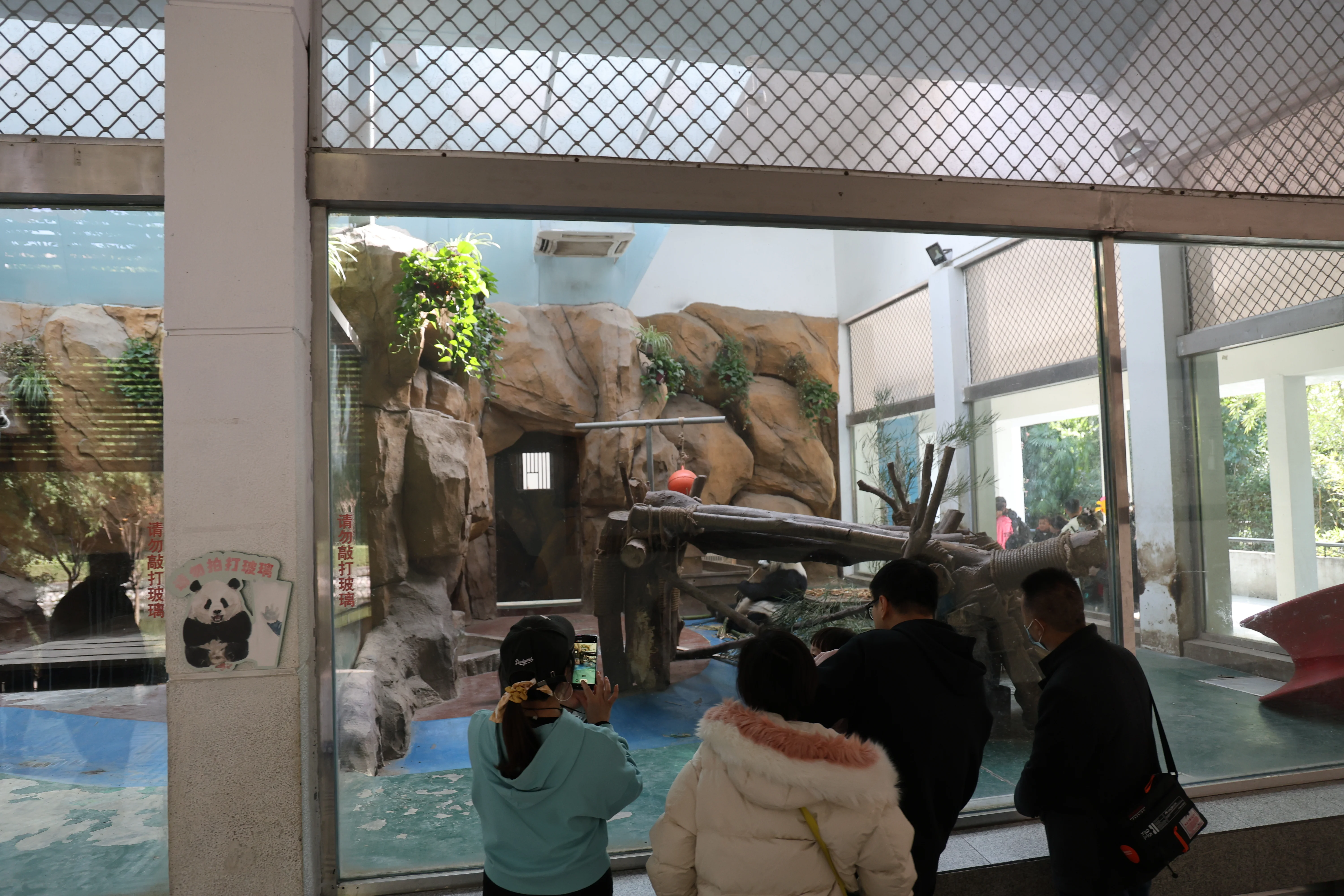 Chengdu Zoo