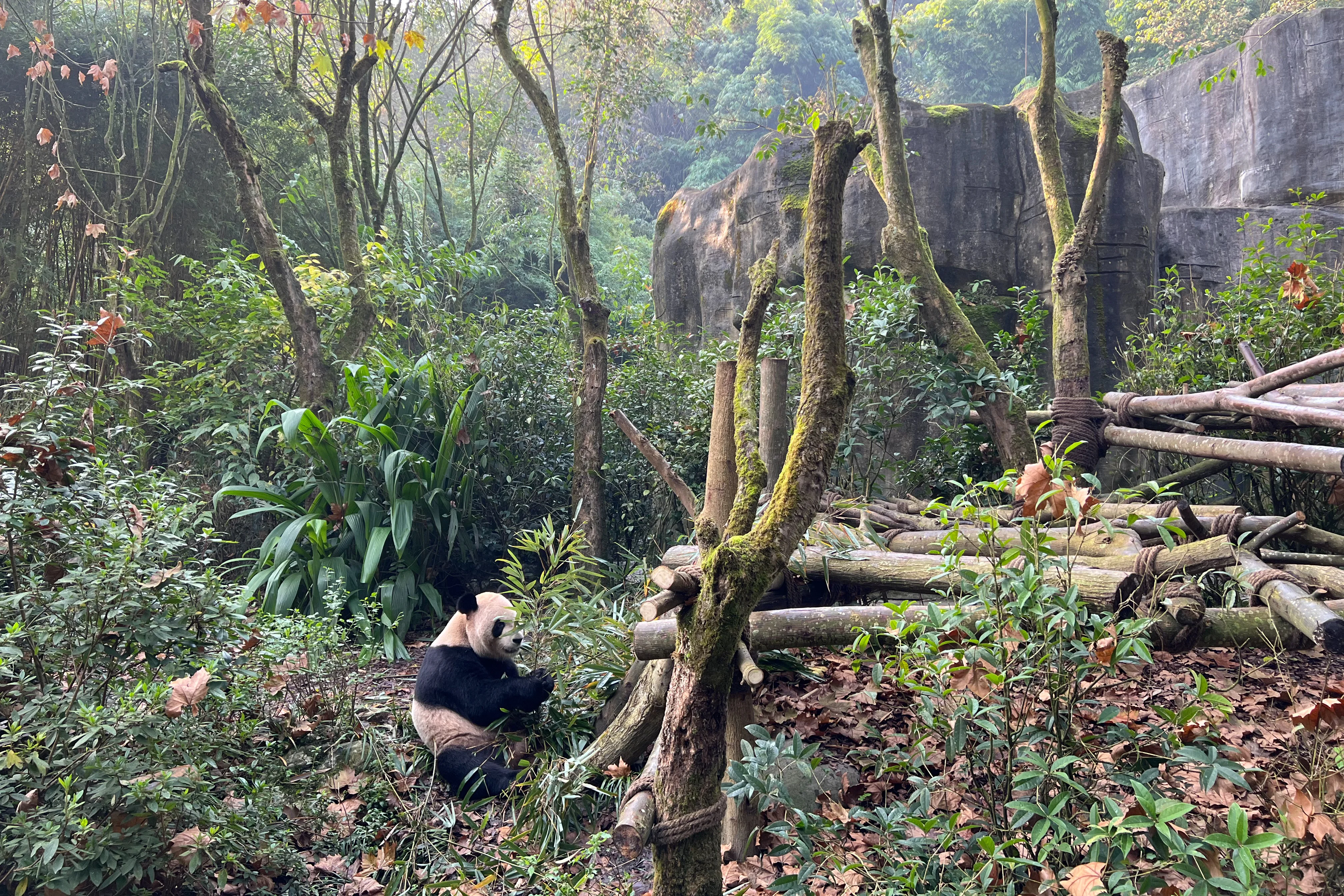 Chengdu Field Research Centre for Giant Pandas of CRBGPB