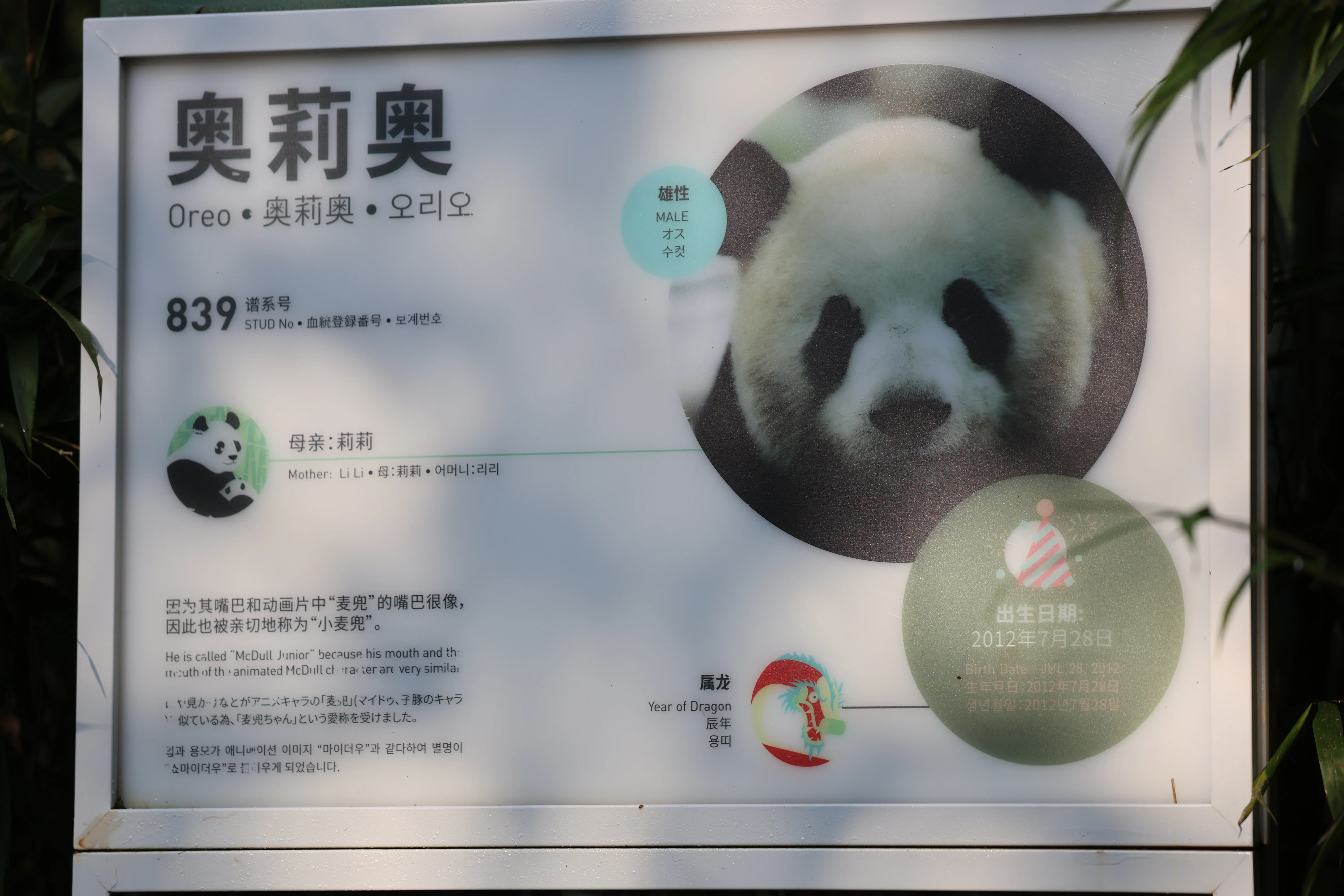 Chengdu Field Research Centre for Giant Pandas of CRBGPB