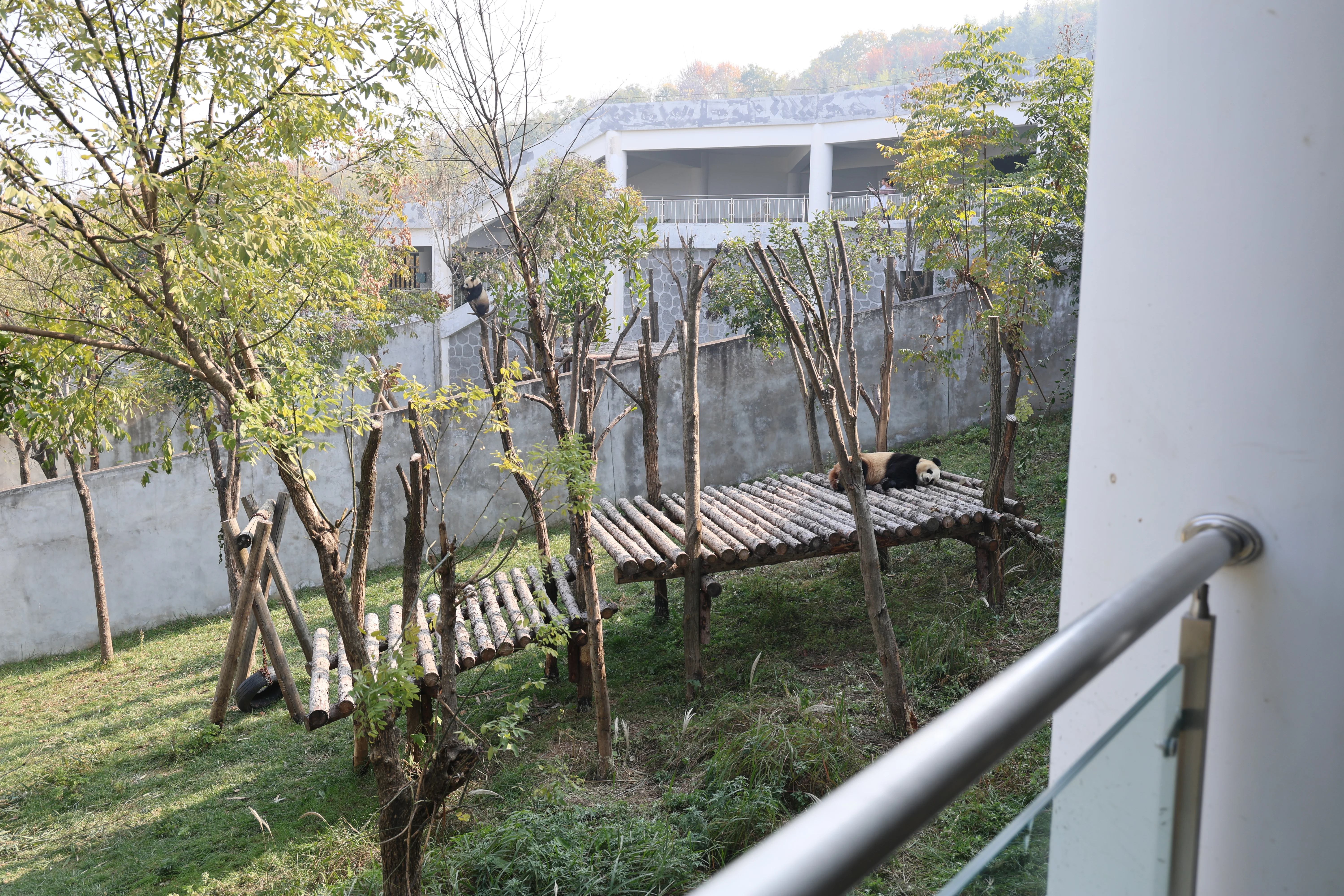 Research Center for the Qinling Giant Panda