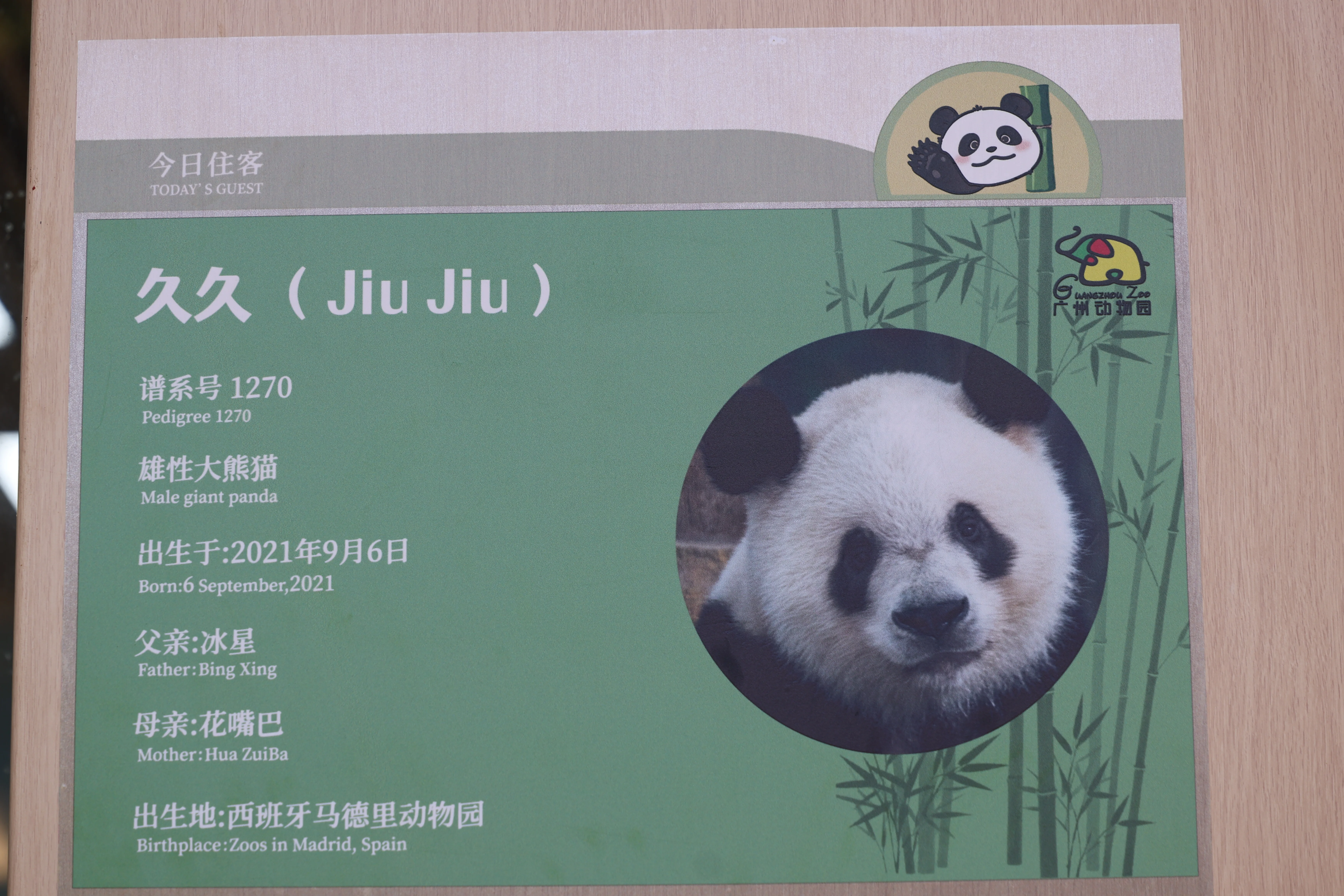 Guangzhou Zoo