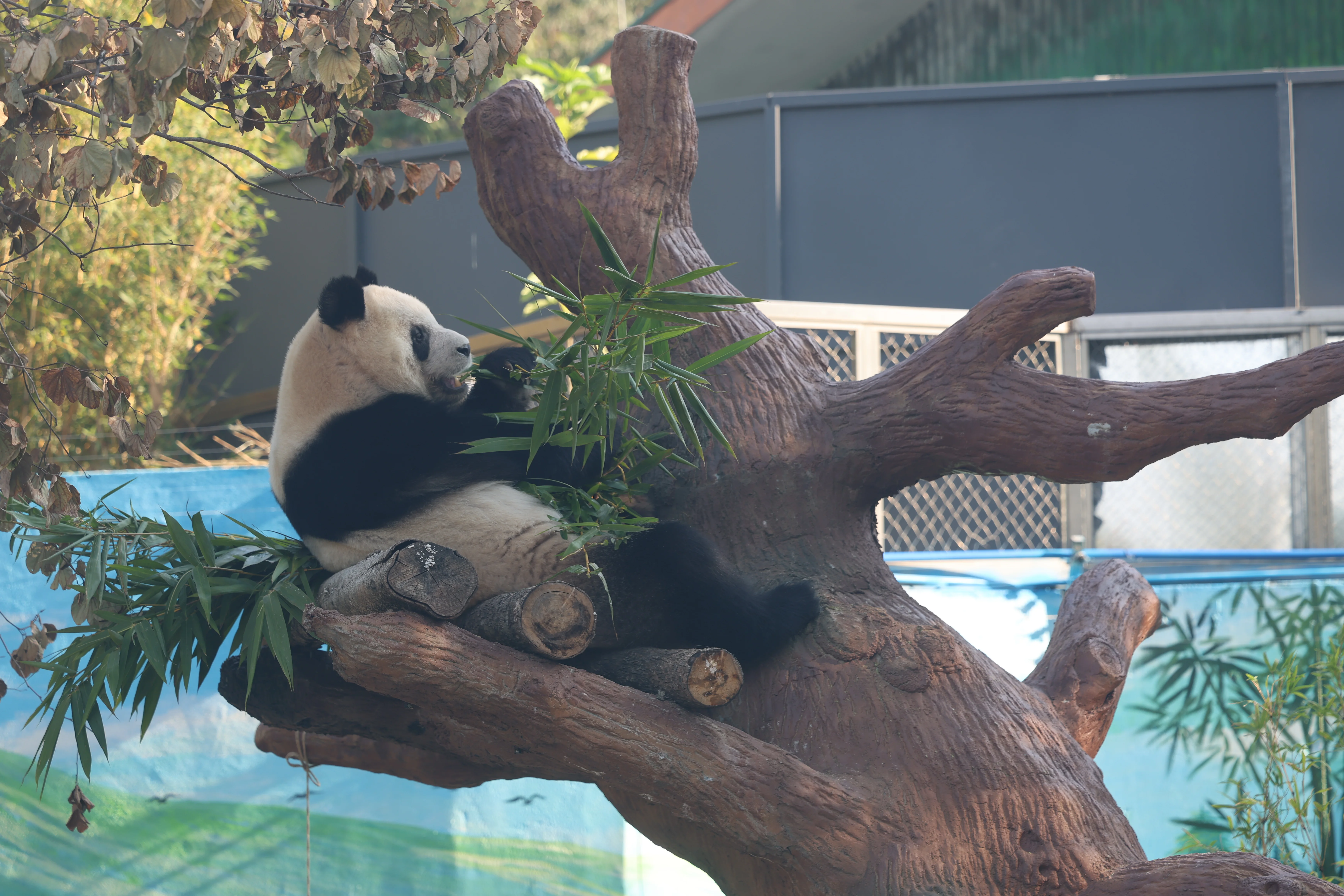 Guangzhou Zoo