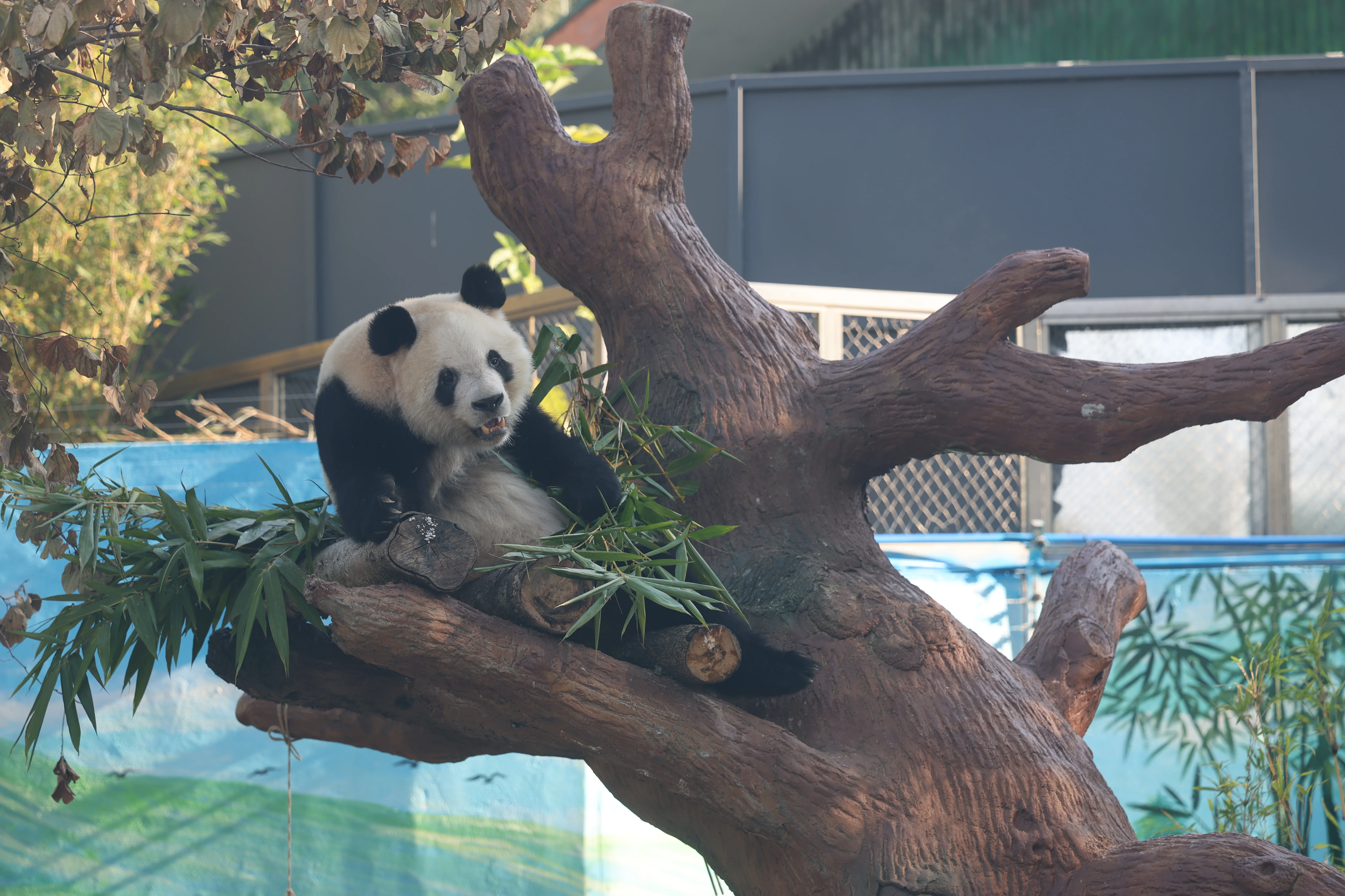 Guangzhou Zoo