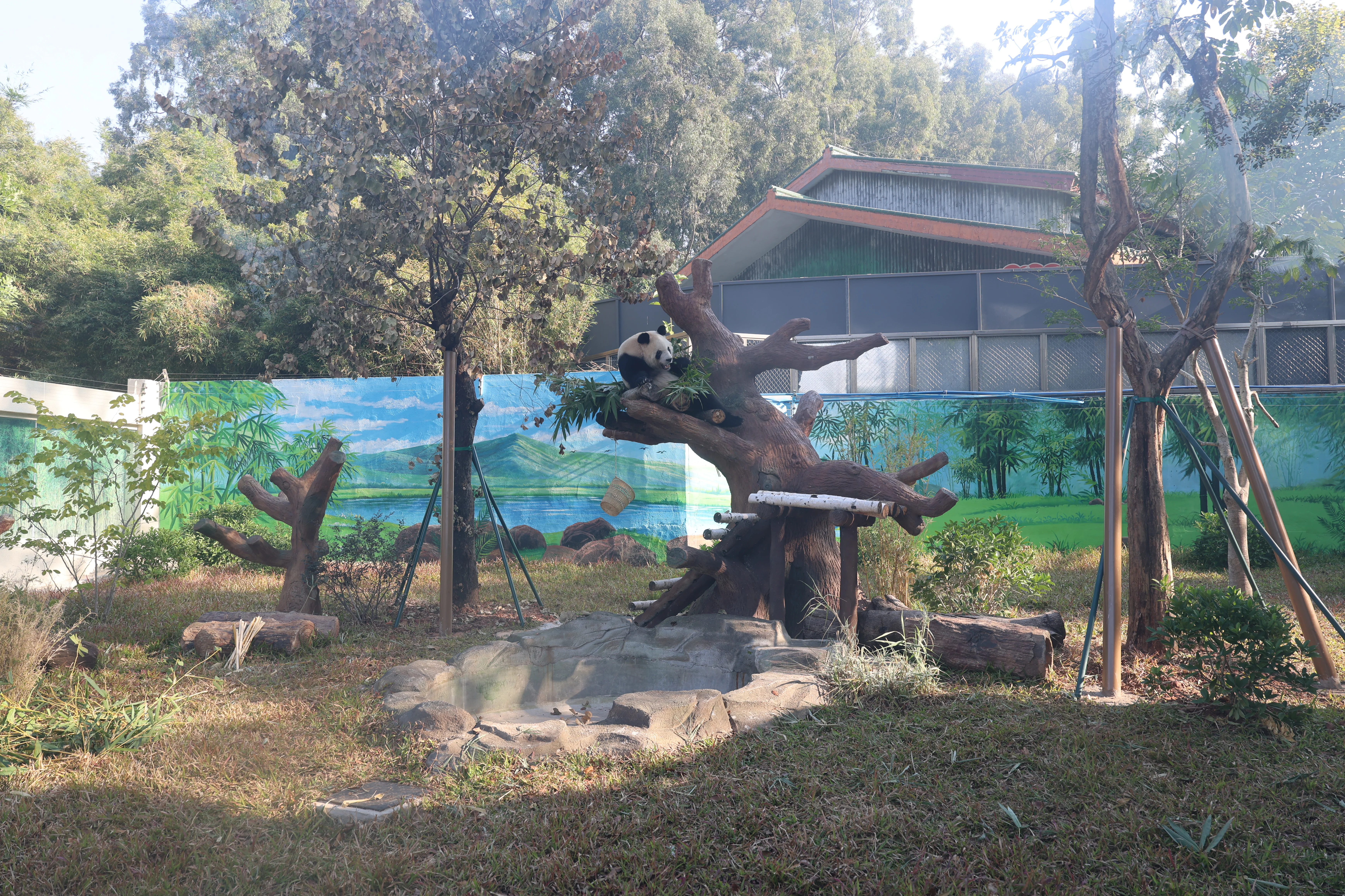 Guangzhou Zoo