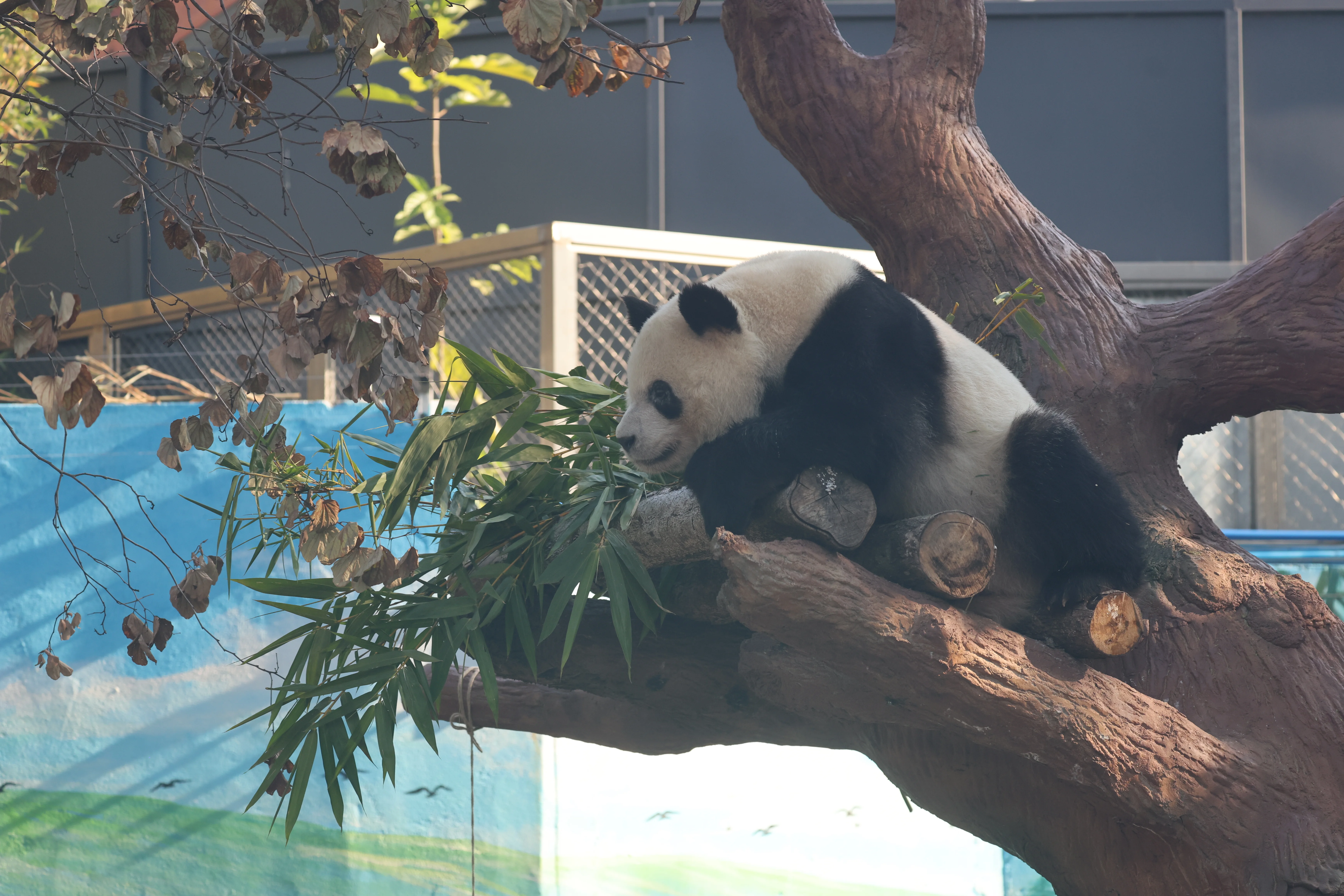 Guangzhou Zoo