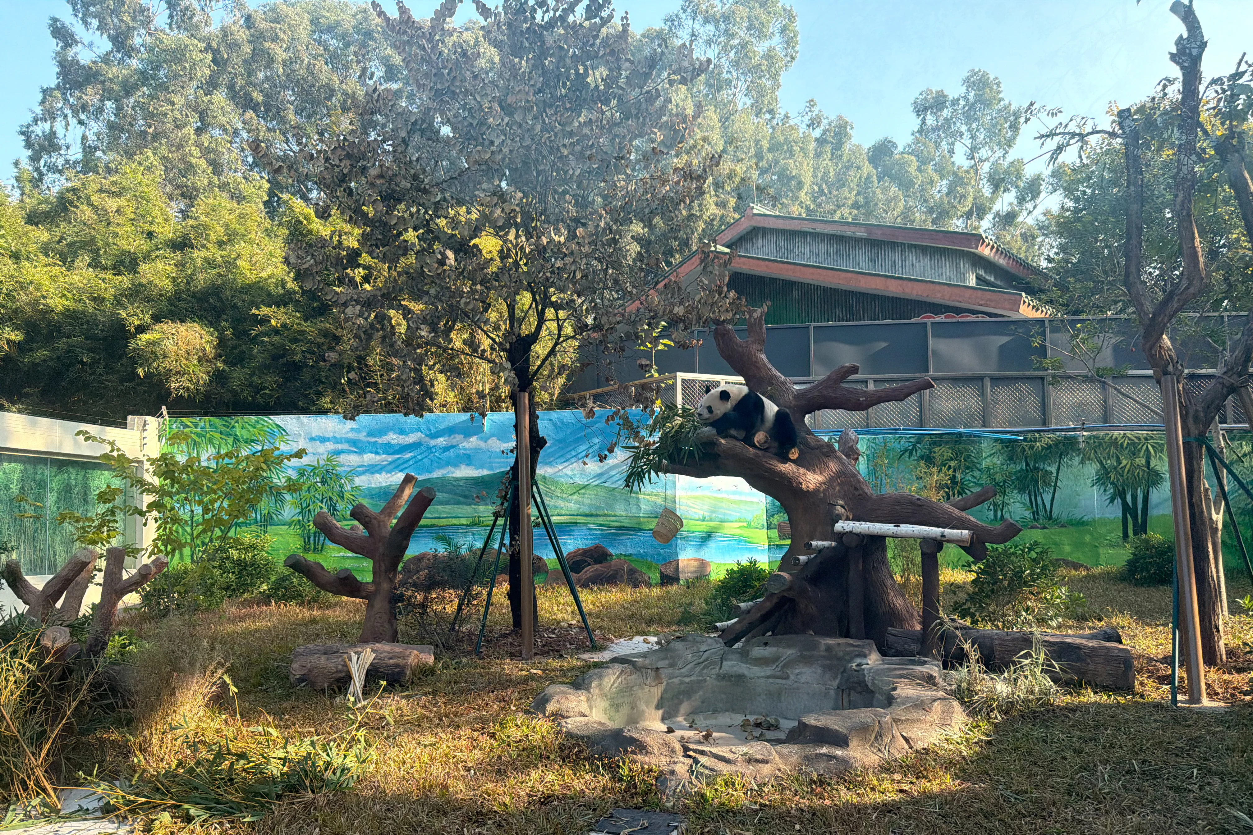 Guangzhou Zoo