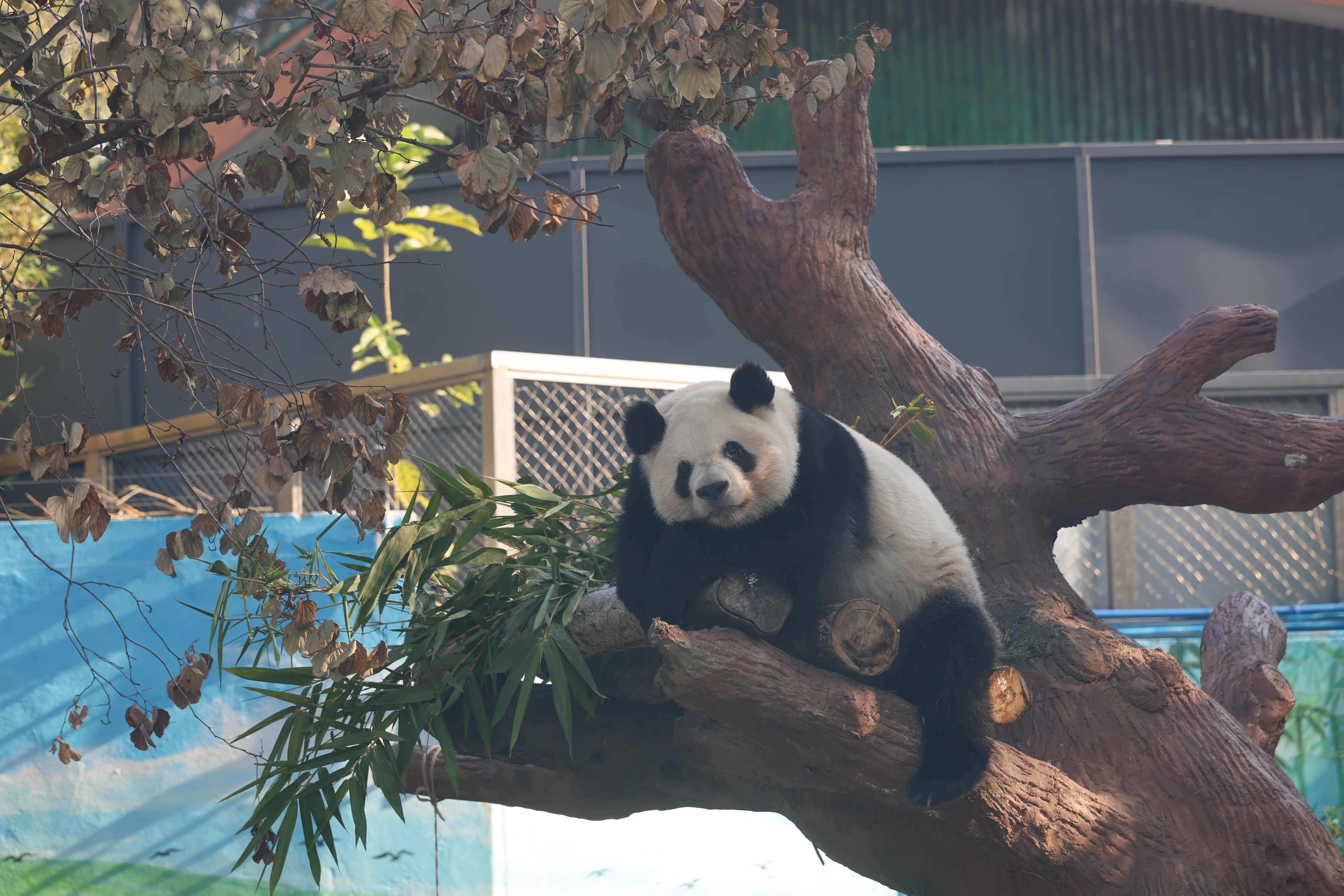 Guangzhou Zoo