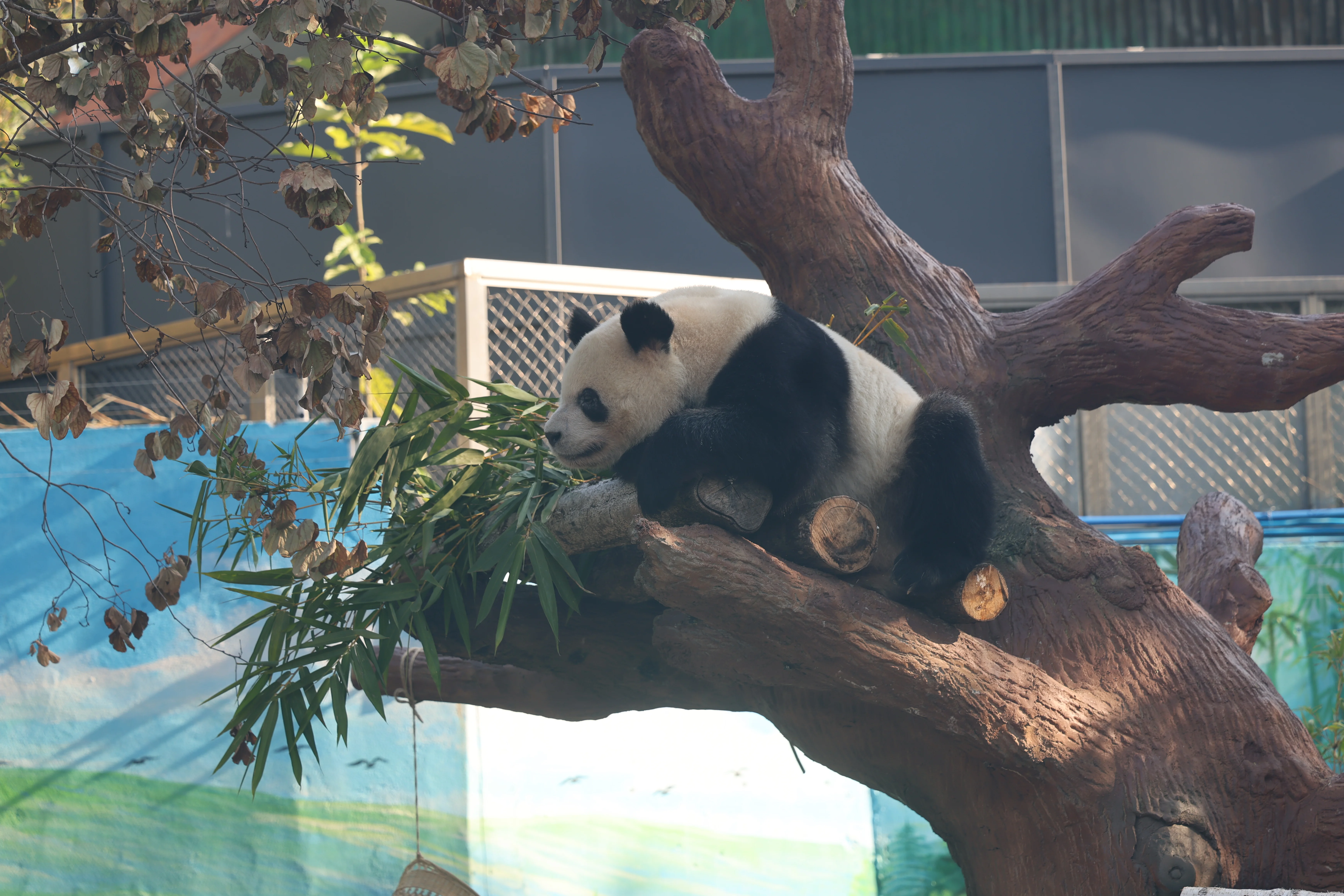Guangzhou Zoo