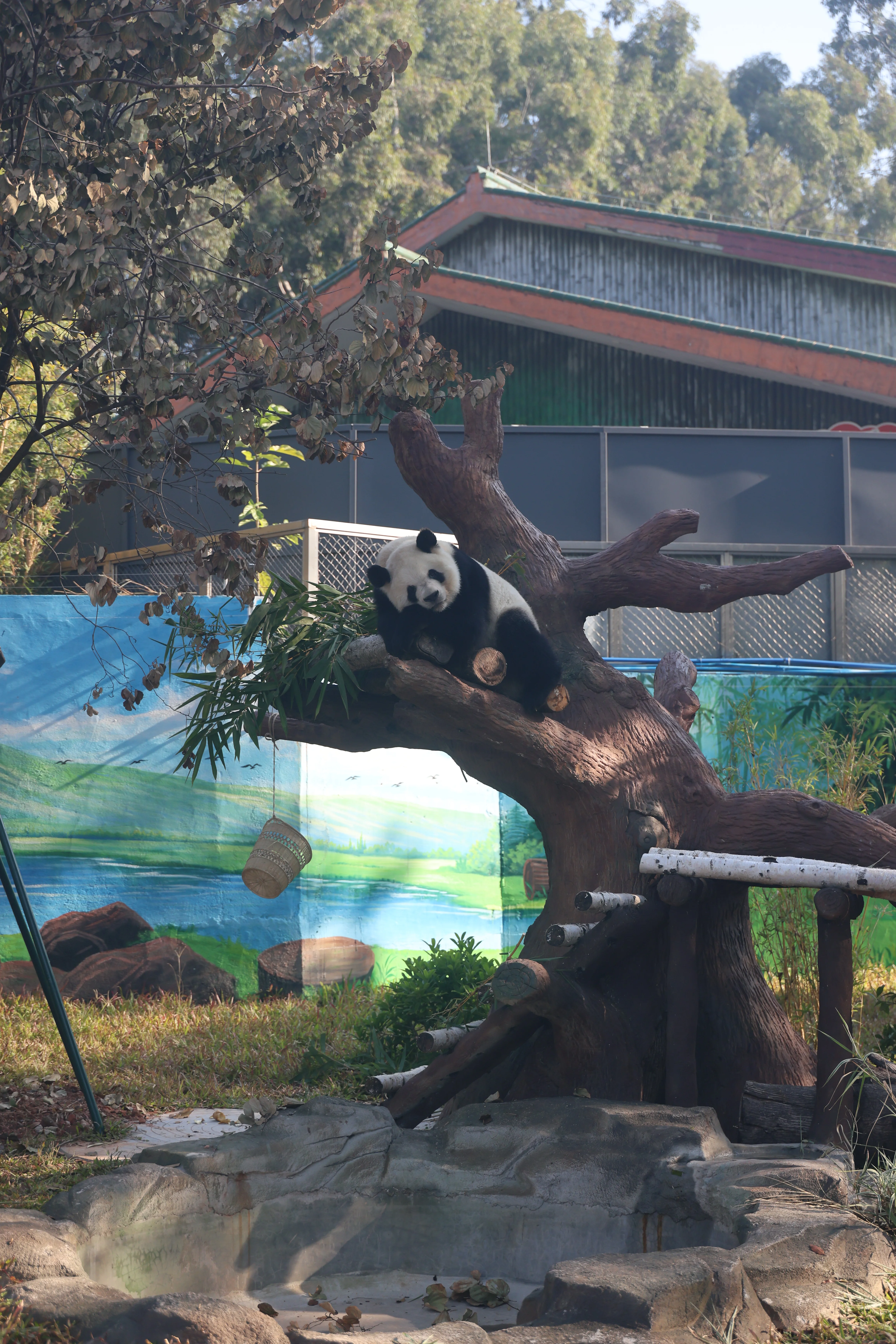 Guangzhou Zoo